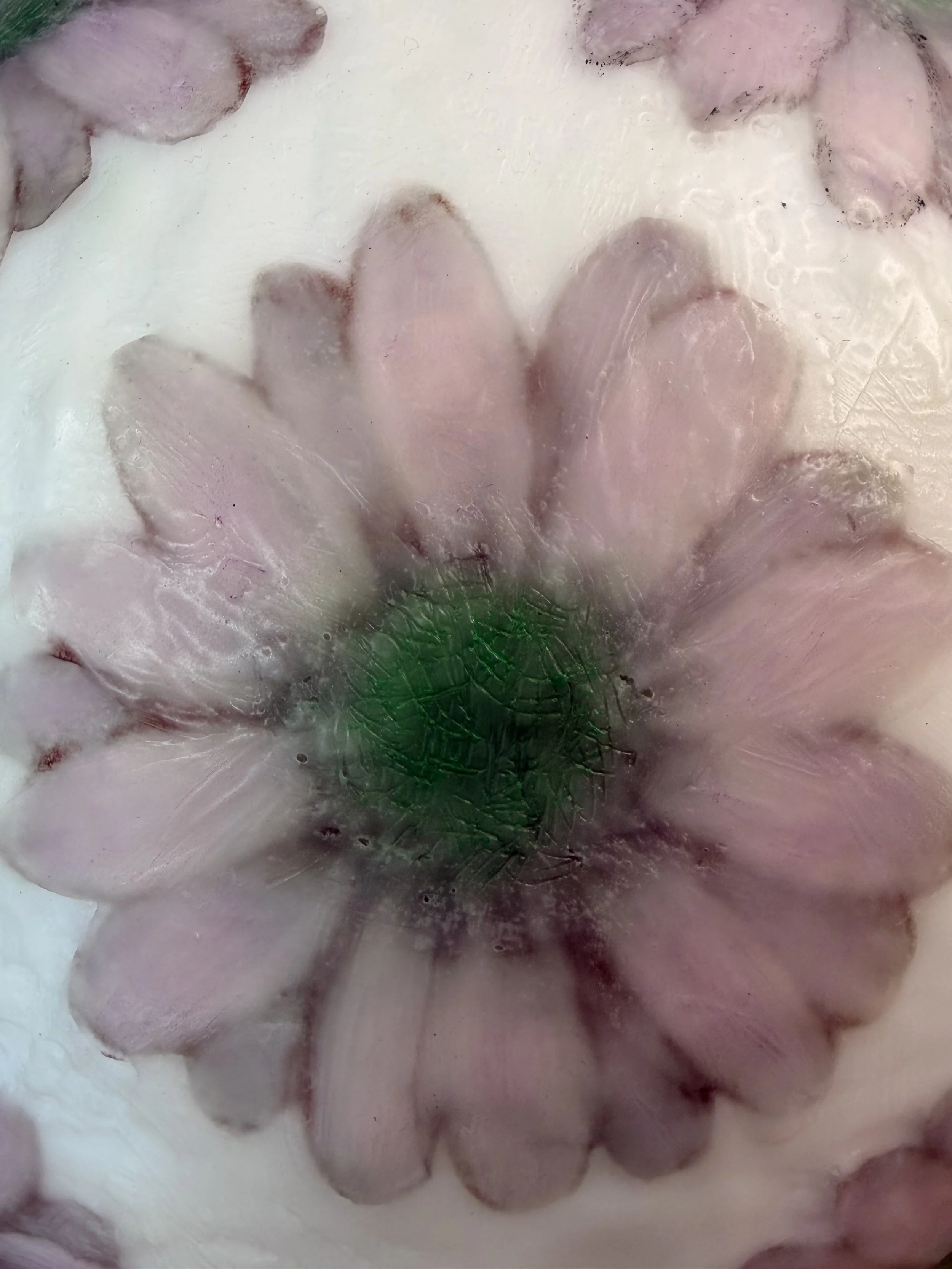 Blossom Vessel encaustic wax mixed media artwork 28x28cm by Karen Canning Studio Fifty Three textured floral inspired vessel artwork