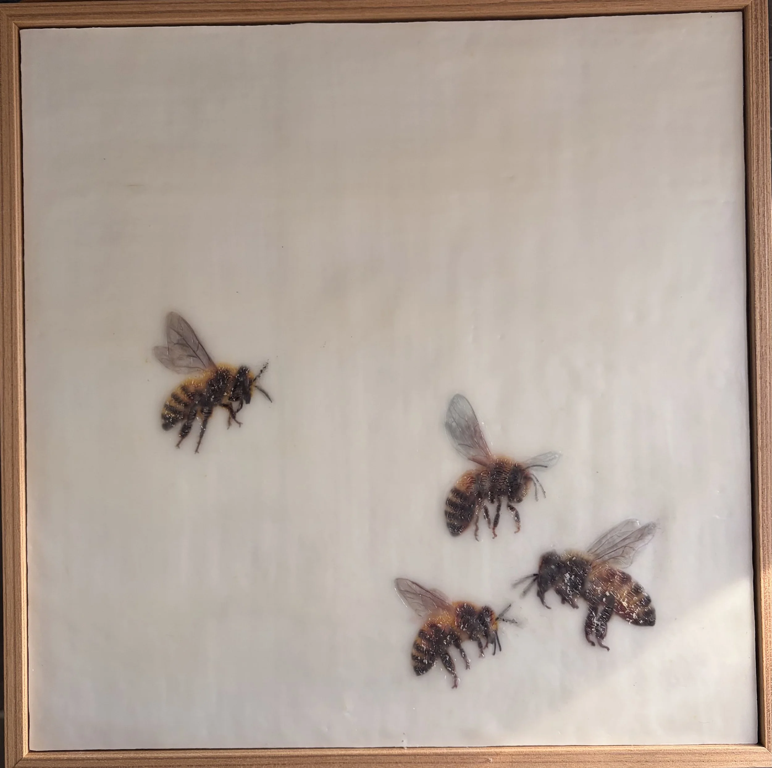“Come Join Us #1 by Karen Canning. Contemporary encaustic wax and mixed media artwork featuring four realistic bees floating across a luminous cream background. Framed . 33 x 33 cm.”