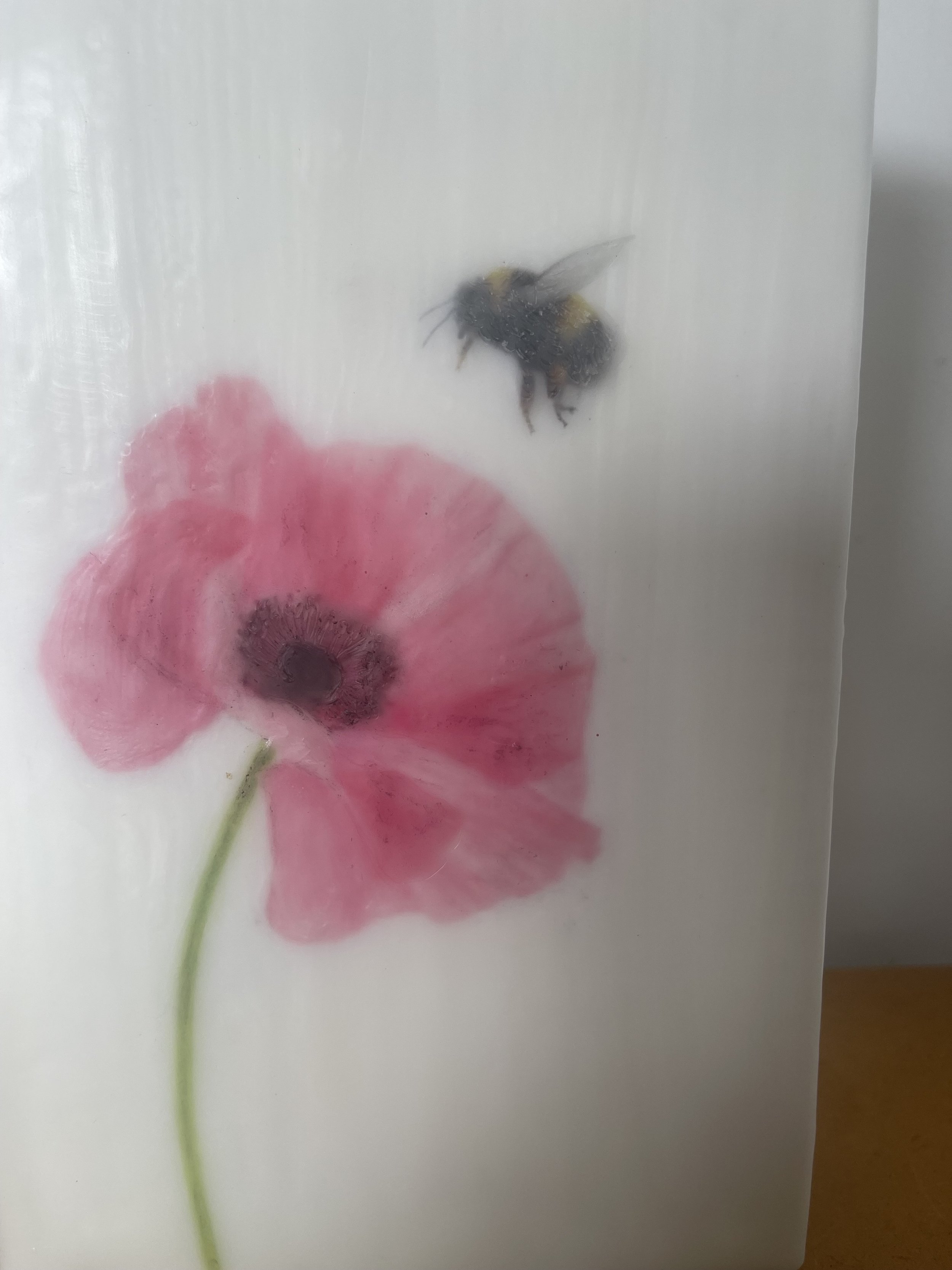 IMG_2415.jpeg