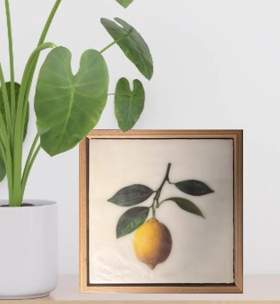 Minimalist encaustic wax botanical artwork featuring a single yellow lemon hanging from a leafy branch on a luminous white background in a timber floating frame by Australian artist Karen Canning.