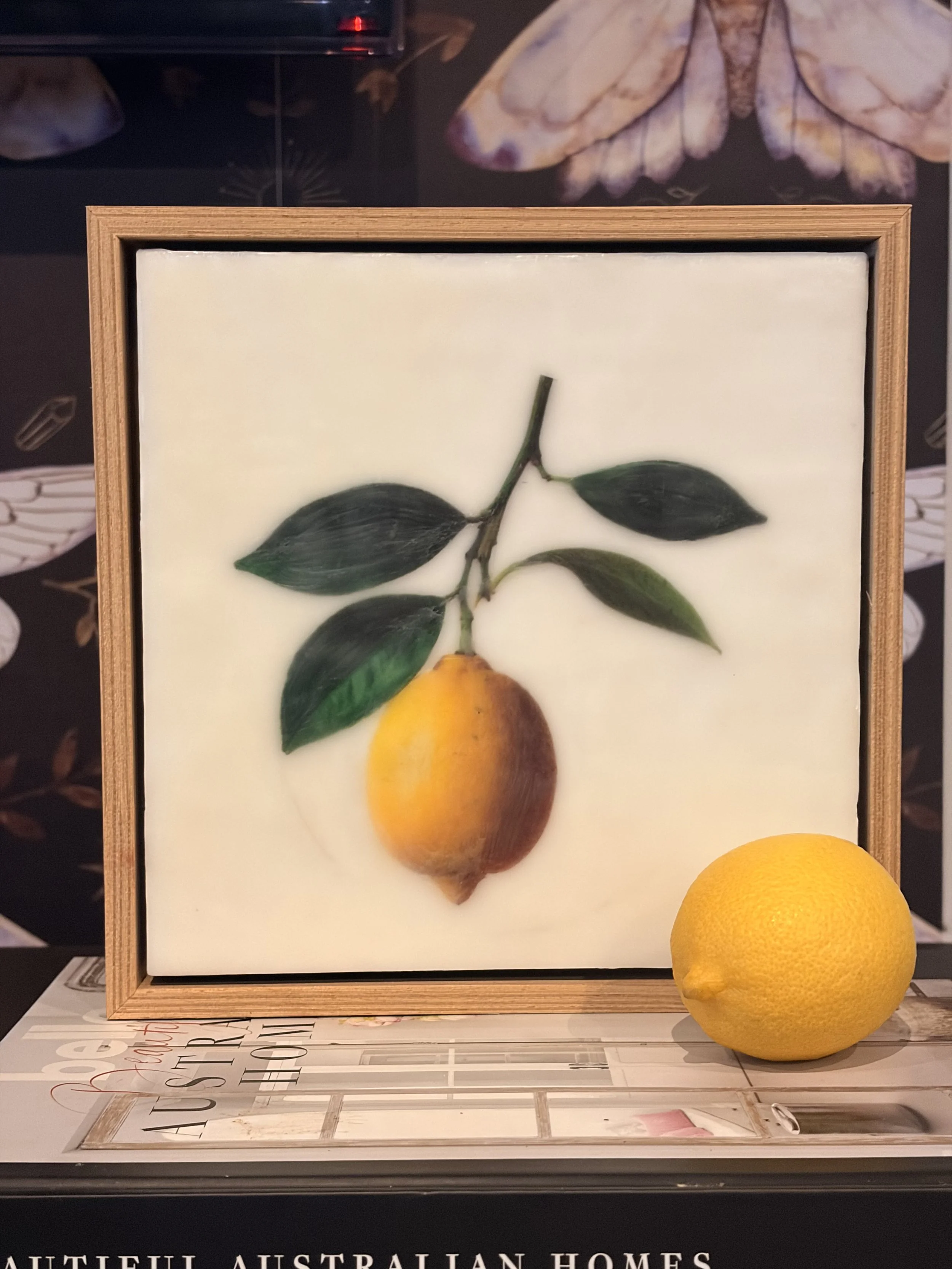 Minimalist encaustic wax botanical artwork featuring a single yellow lemon hanging from a leafy branch on a luminous white background in a timber floating frame by Australian artist Karen Canning.