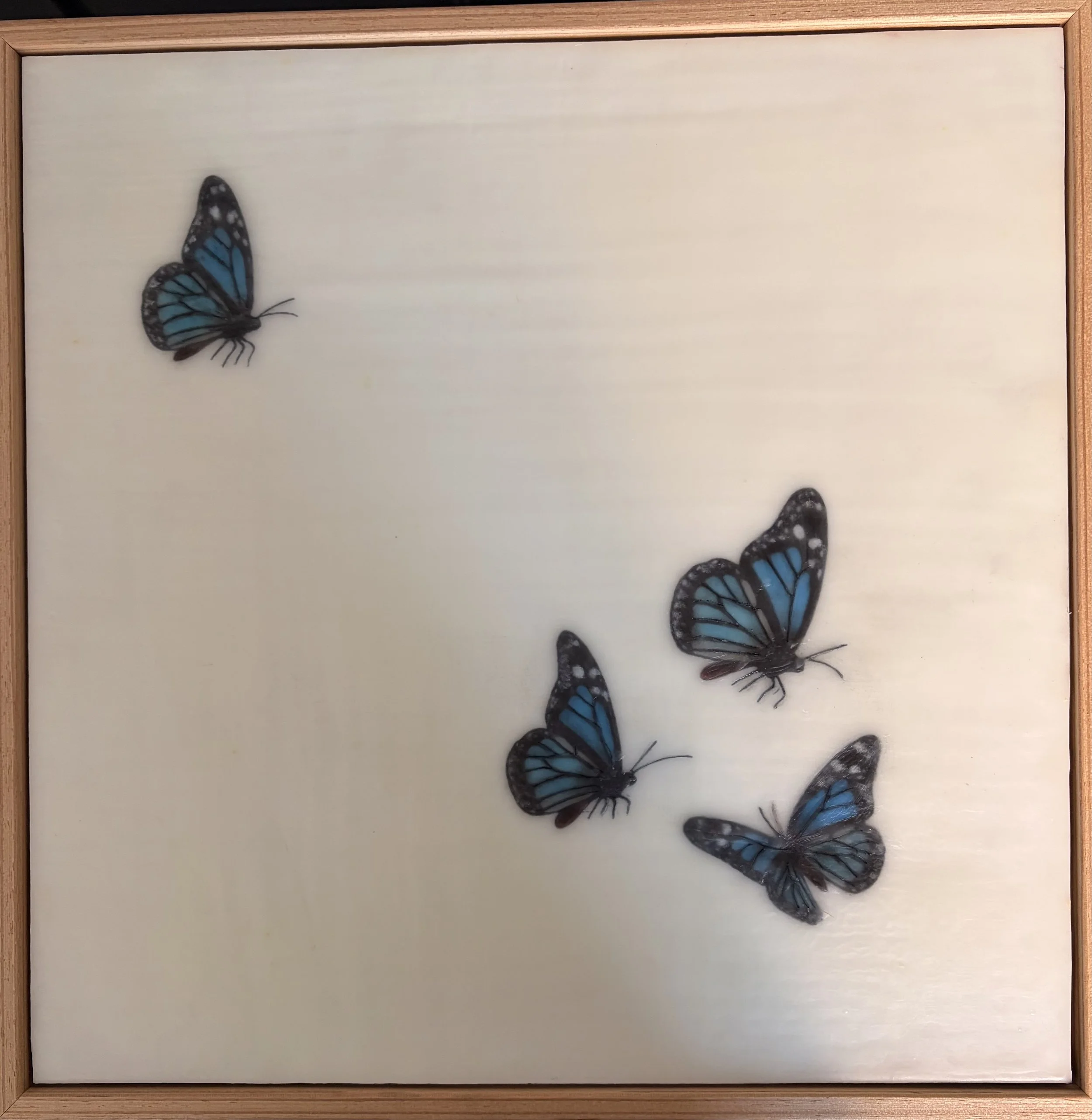 Minimalist encaustic wax artwork featuring four blue butterflies floating across a luminous ivory background within a natural timber frame. Contemporary, serene wall art by Karen Canning.