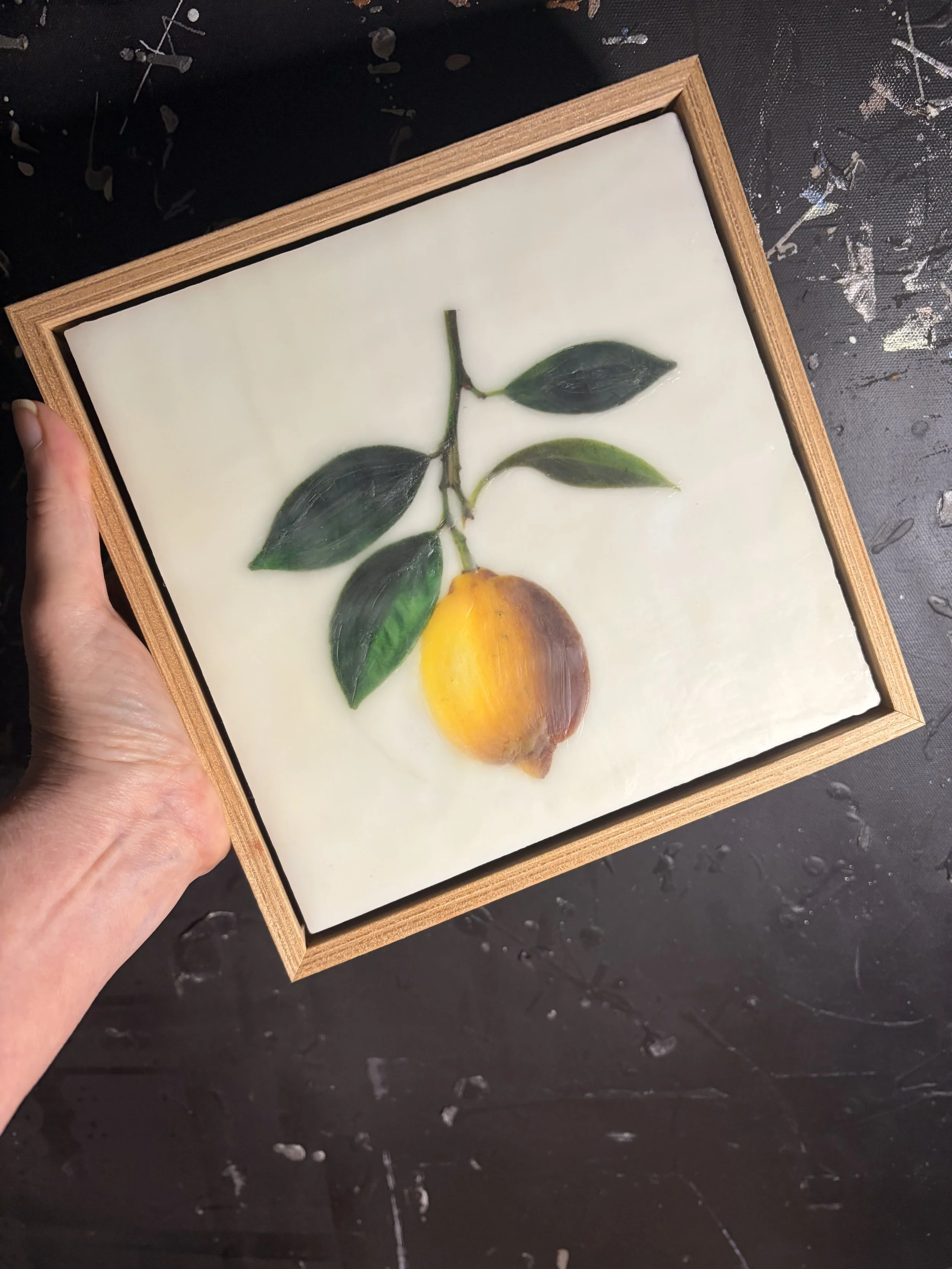 Minimalist encaustic wax botanical artwork featuring a single yellow lemon hanging from a leafy branch on a luminous white background in a timber floating frame by Australian artist Karen Canning.