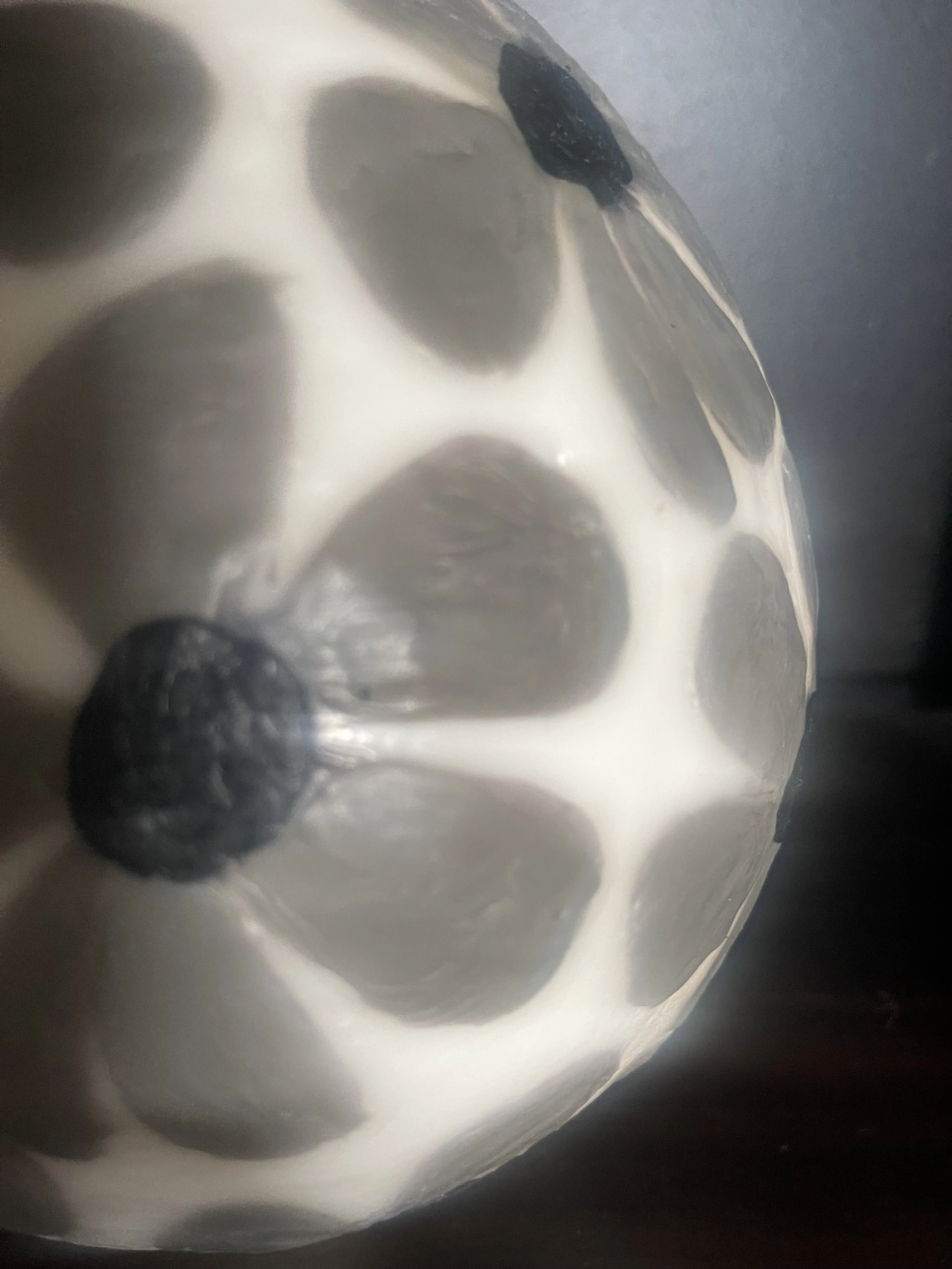 IMG_6390.jpeg