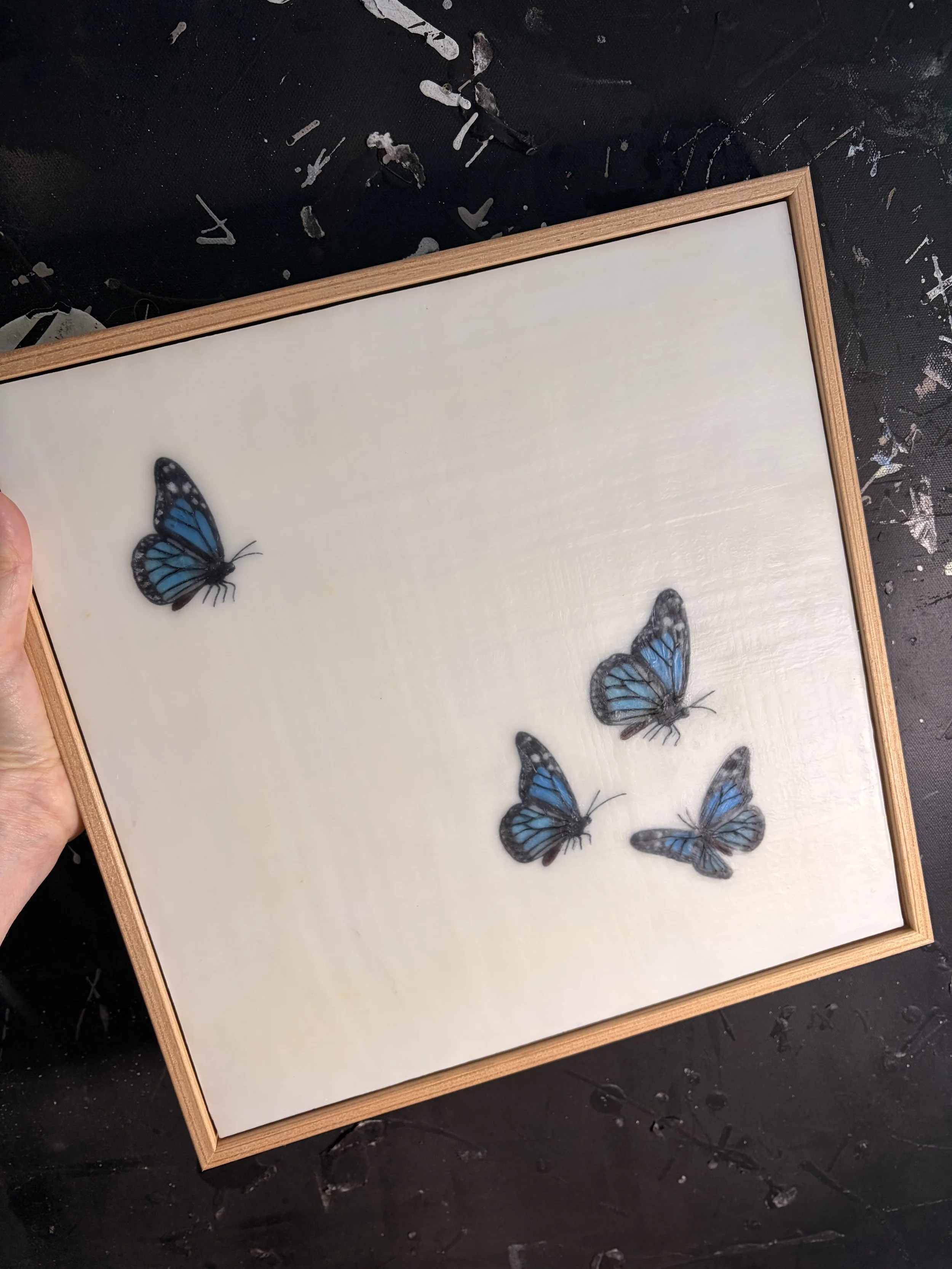 Minimalist encaustic wax artwork featuring four blue butterflies floating across a luminous ivory background within a natural timber frame. Contemporary, serene wall art by Karen Canning.