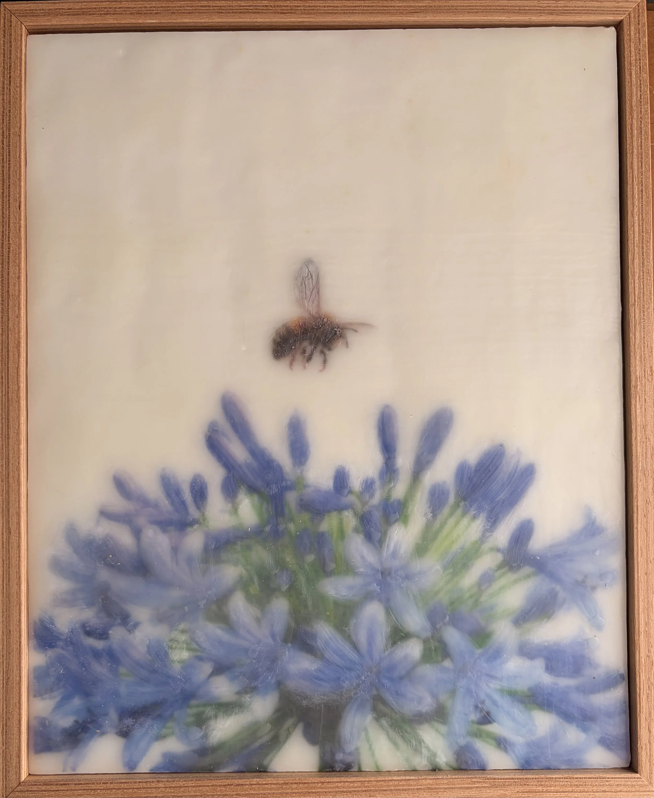 Original encaustic wax artwork featuring a softly rendered honeybee hovering above vibrant blue agapanthus flowers. Dreamy botanical artwork with luminous beeswax layers, framed