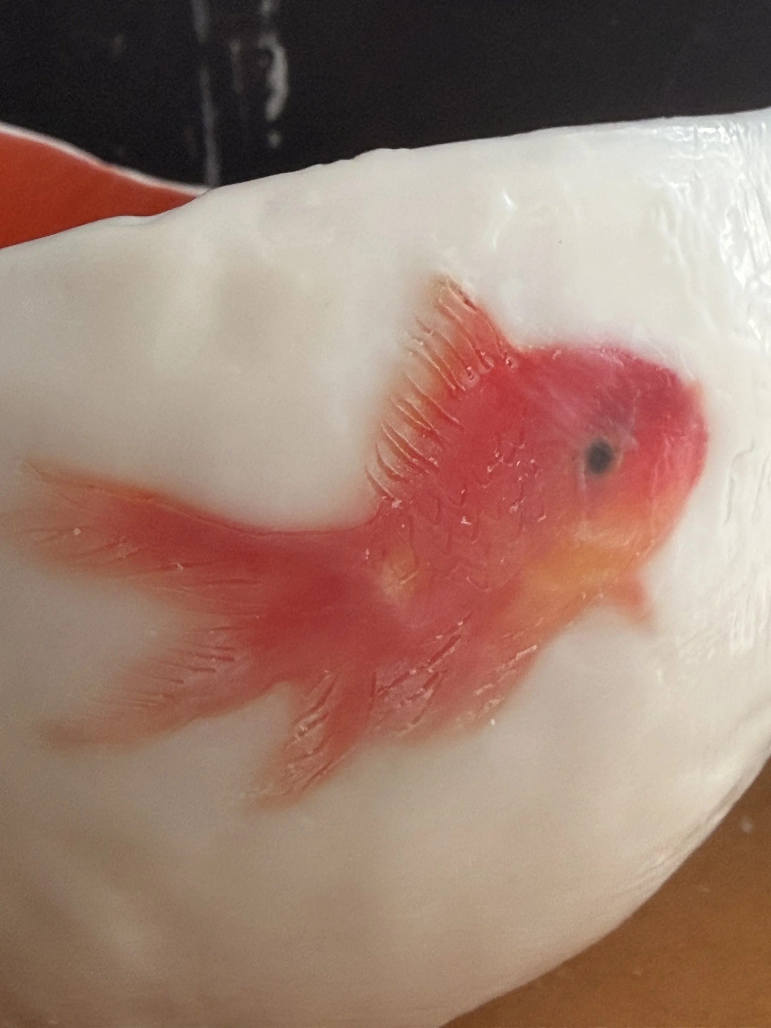 Handmade encaustic wax vessel with luminous  white exterior and goldfish design, featuring soft translucent layers and a warm orange interior, 17 x 13 cm sculptural art bowl.