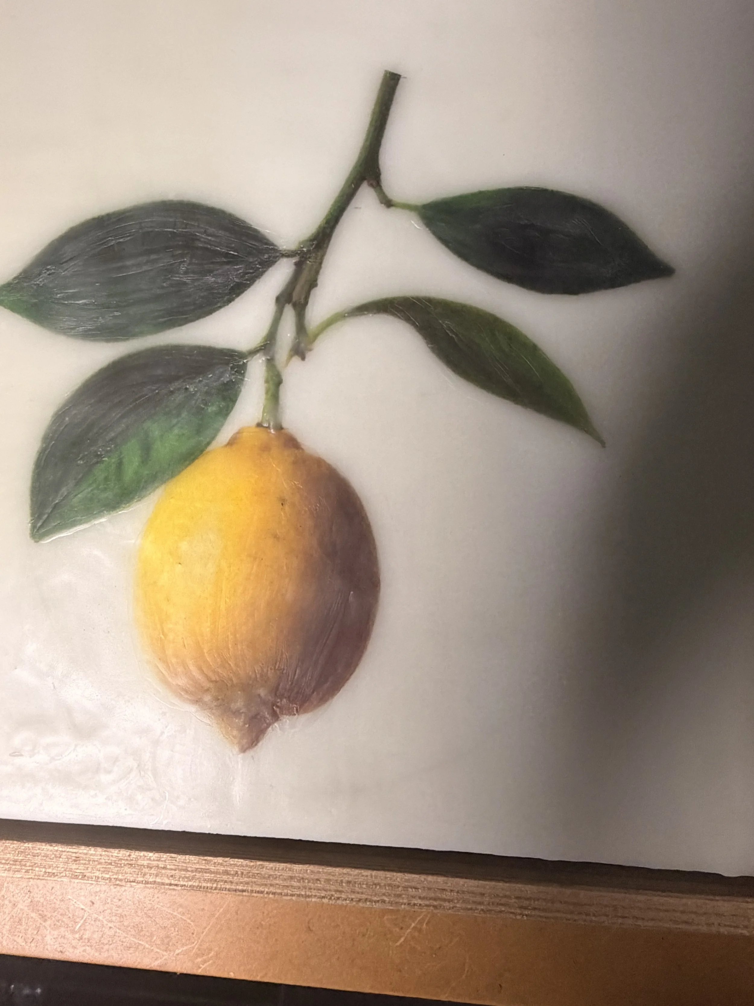 Minimalist encaustic wax botanical artwork featuring a single yellow lemon hanging from a leafy branch on a luminous white background in a timber floating frame by Australian artist Karen Canning.