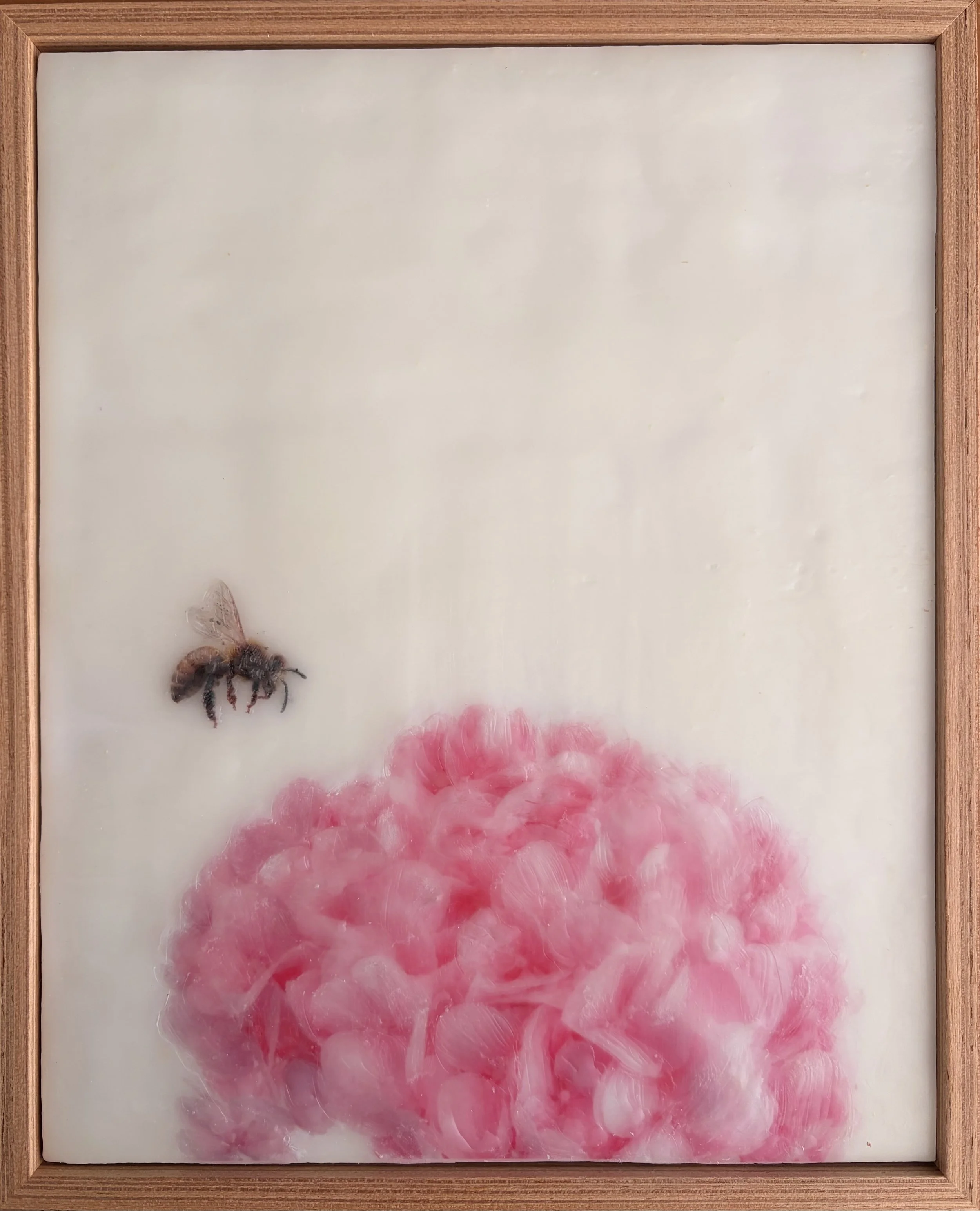 Original encaustic wax artwork of a honeybee hovering beside soft pink hydrangea flowers, framed in Tasmanian oak with a dreamy, luminous botanical finish.