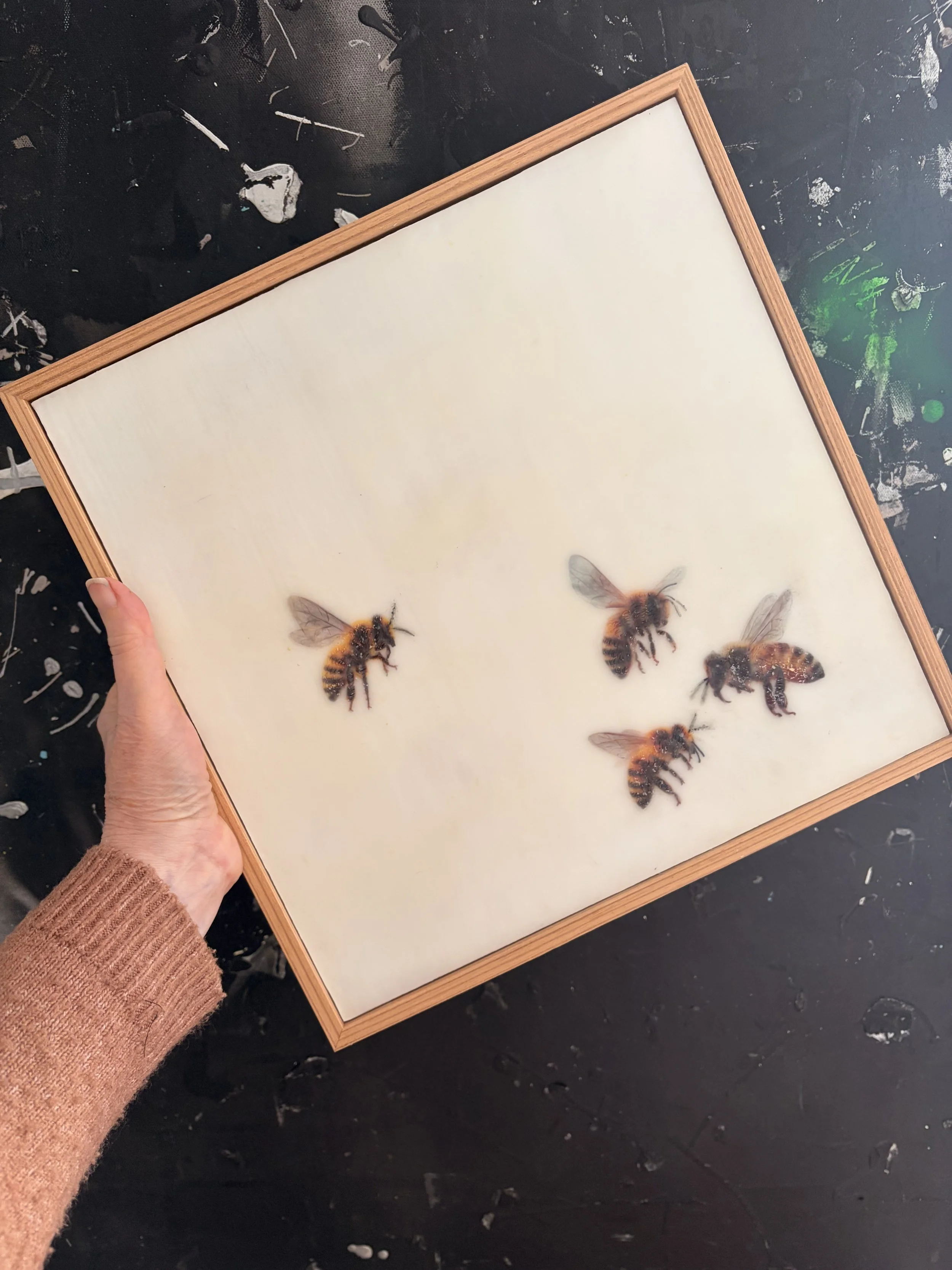 “Come Join Us #1 by Karen Canning. Contemporary encaustic wax and mixed media artwork featuring four realistic bees floating across a luminous cream background. Framed . 33 x 33 cm.”