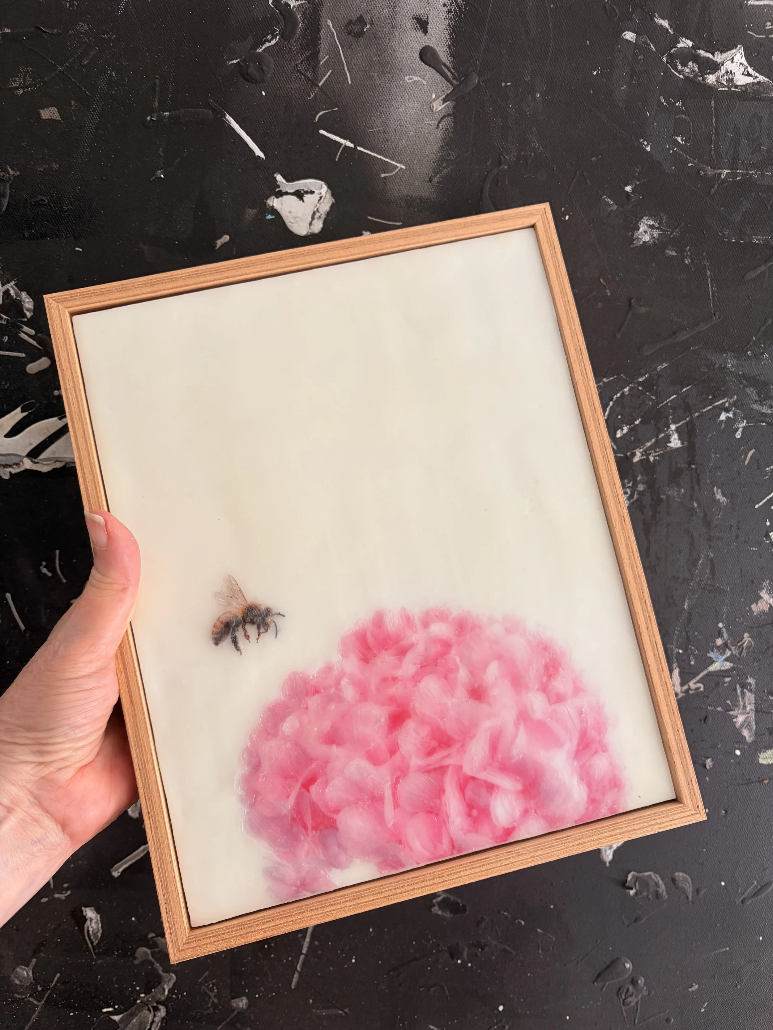 Original encaustic wax artwork of a honeybee hovering beside soft pink hydrangea flowers, framed in Tasmanian oak with a dreamy, luminous botanical finish.