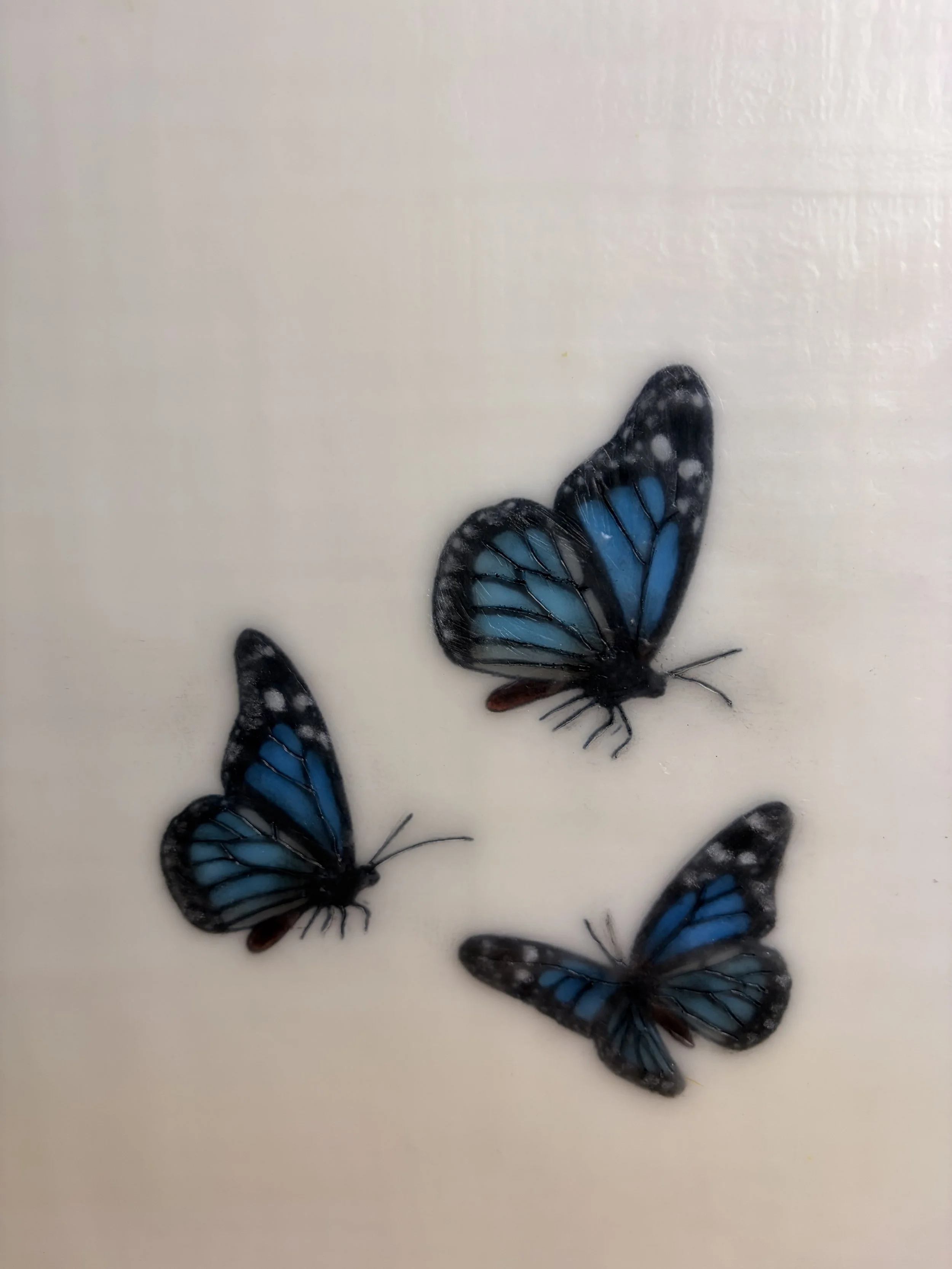 Minimalist encaustic wax artwork featuring four blue butterflies floating across a luminous ivory background within a natural timber frame. Contemporary, serene wall art by Karen Canning.