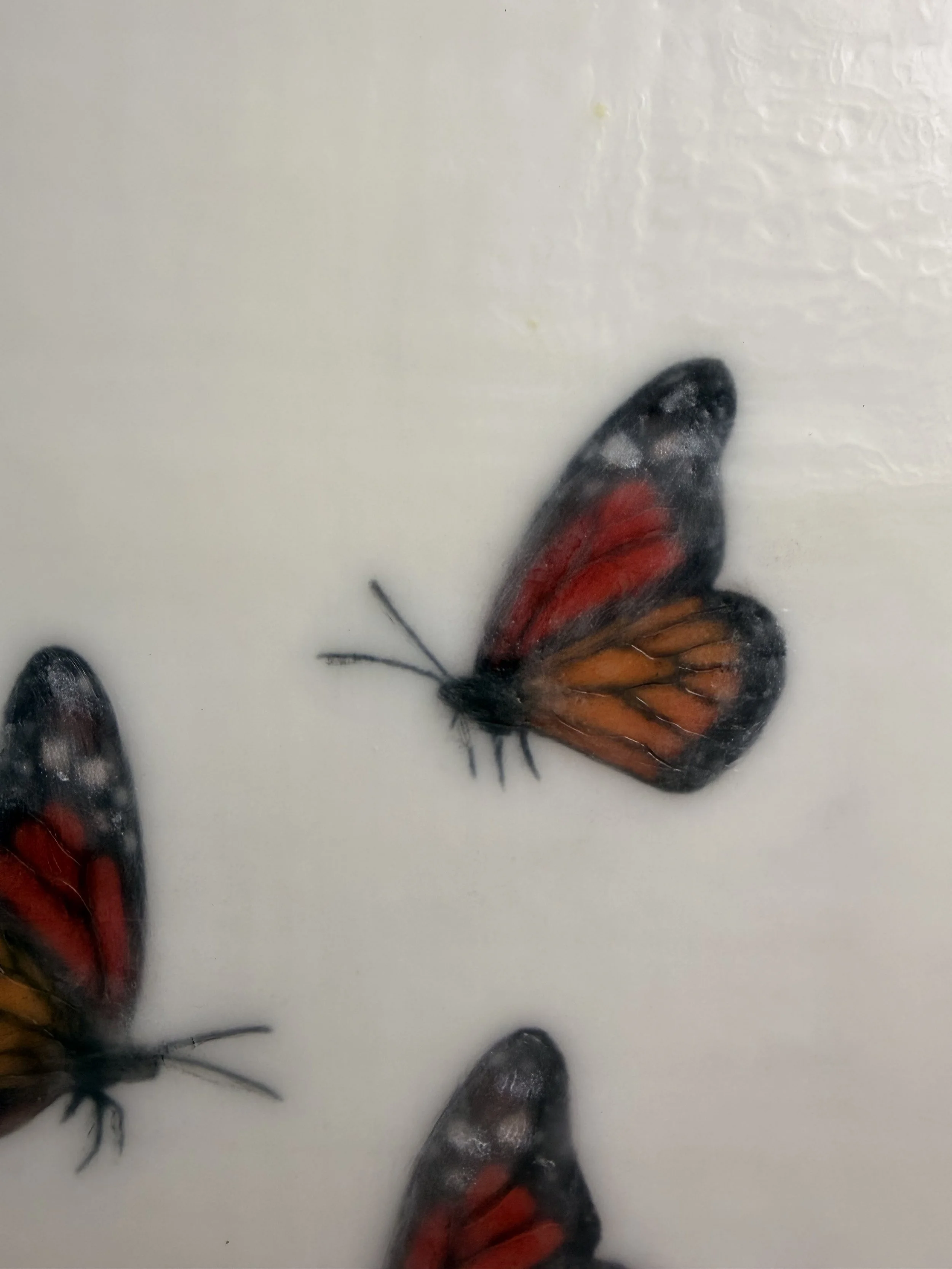 IMG_4904.jpeg