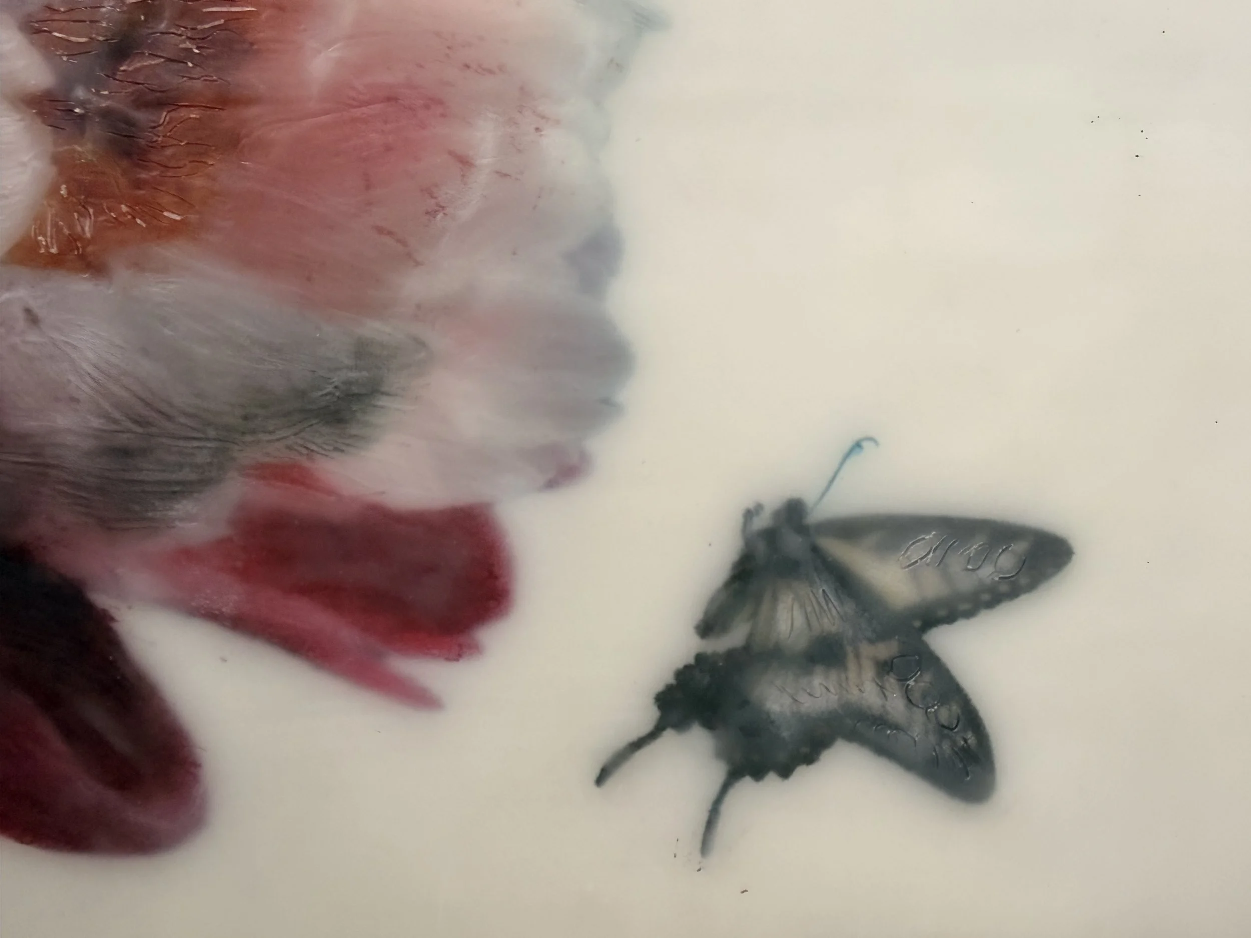 Encaustic wax artwork of a soft pink and crimson flower with a butterfly hovering above, featuring layered wax textures and a gentle, dreamlike finish.