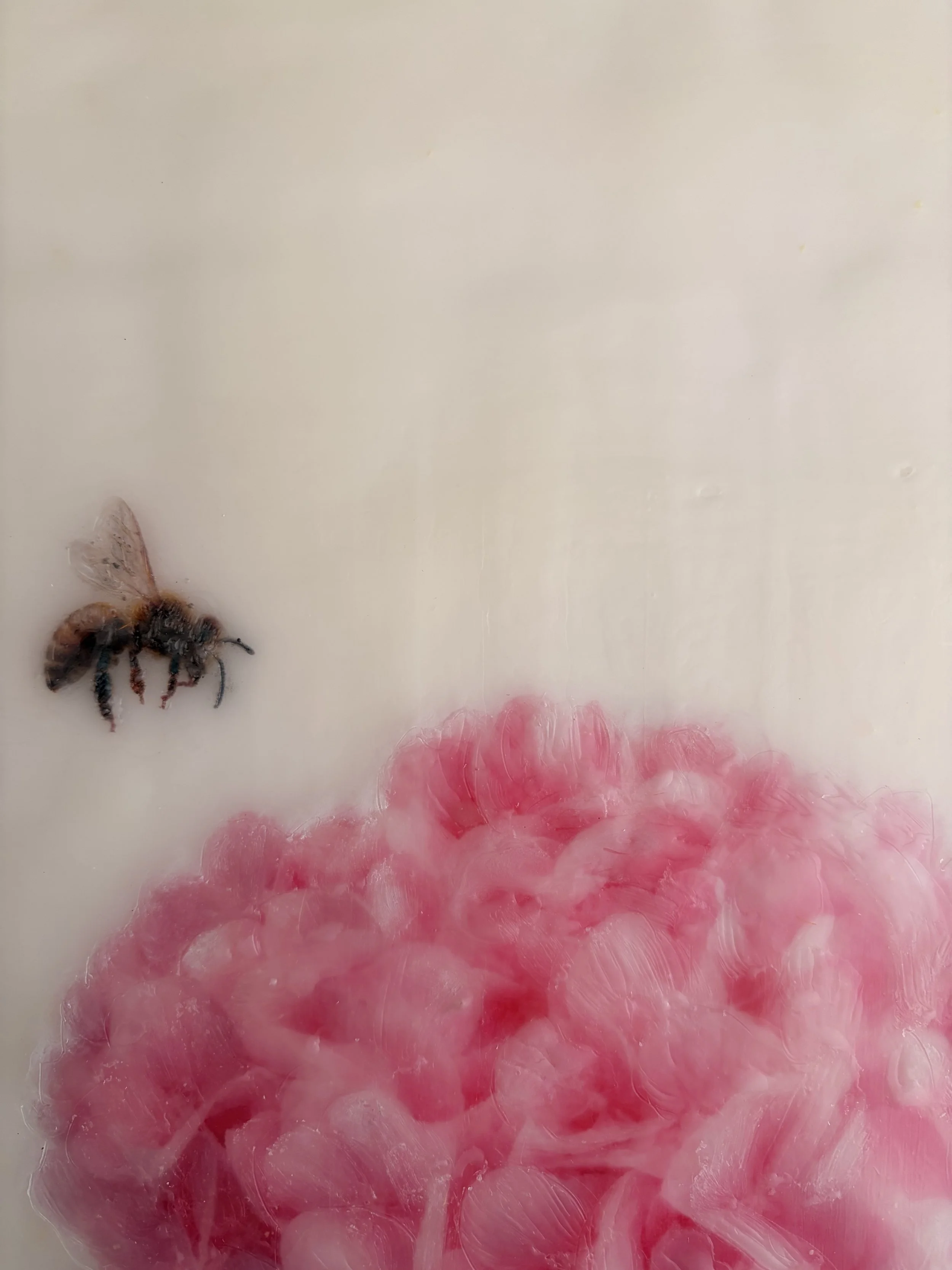 Original encaustic wax artwork of a honeybee hovering beside soft pink hydrangea flowers, framed in Tasmanian oak with a dreamy, luminous botanical finish.