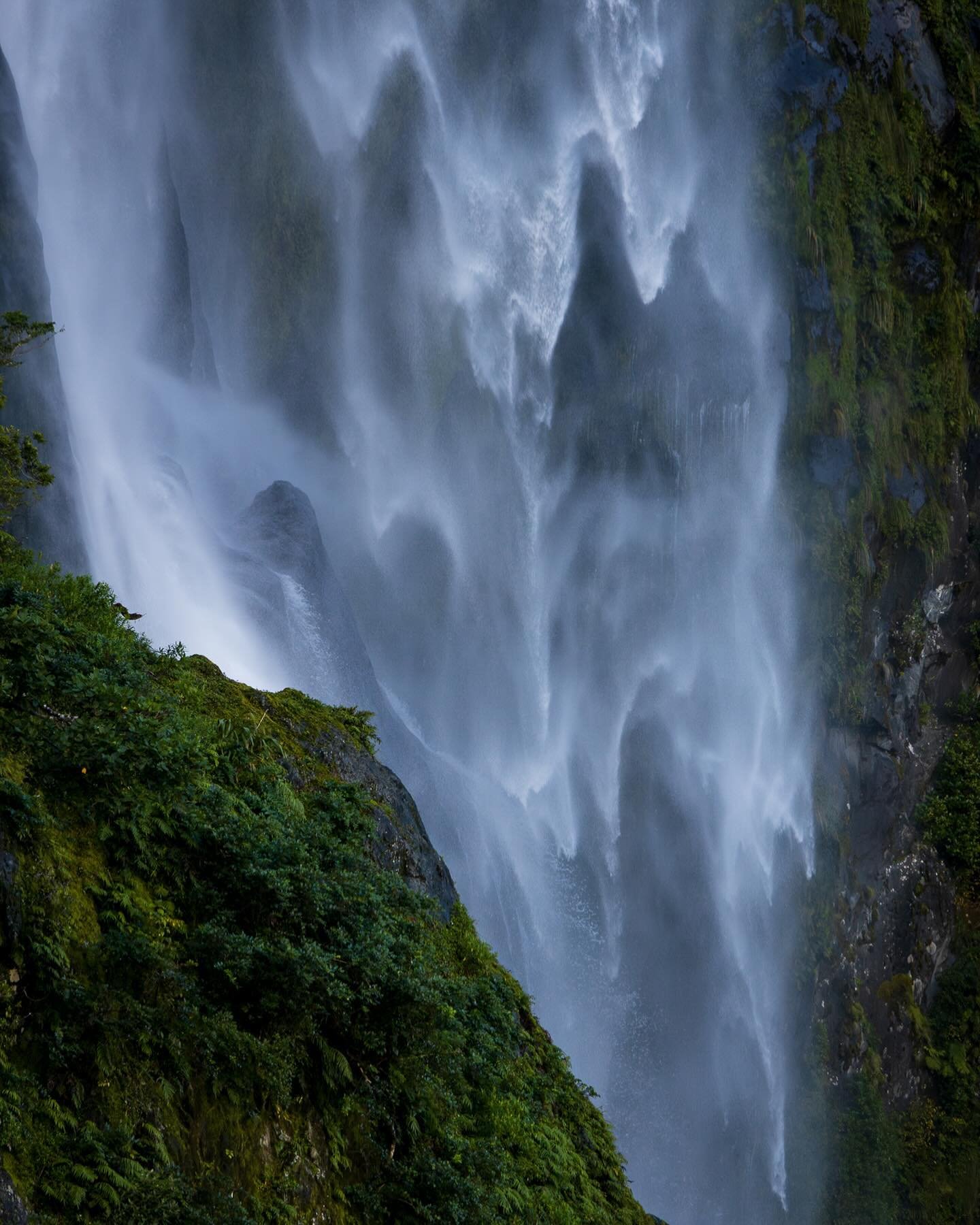 #waterfall #waterfalls #visitnewzealand #milfordsound #ig_waterfalls #ig_naturelovers #ig_newzealand #watermovement #naturephotography #photographylovers #landscapephotography
