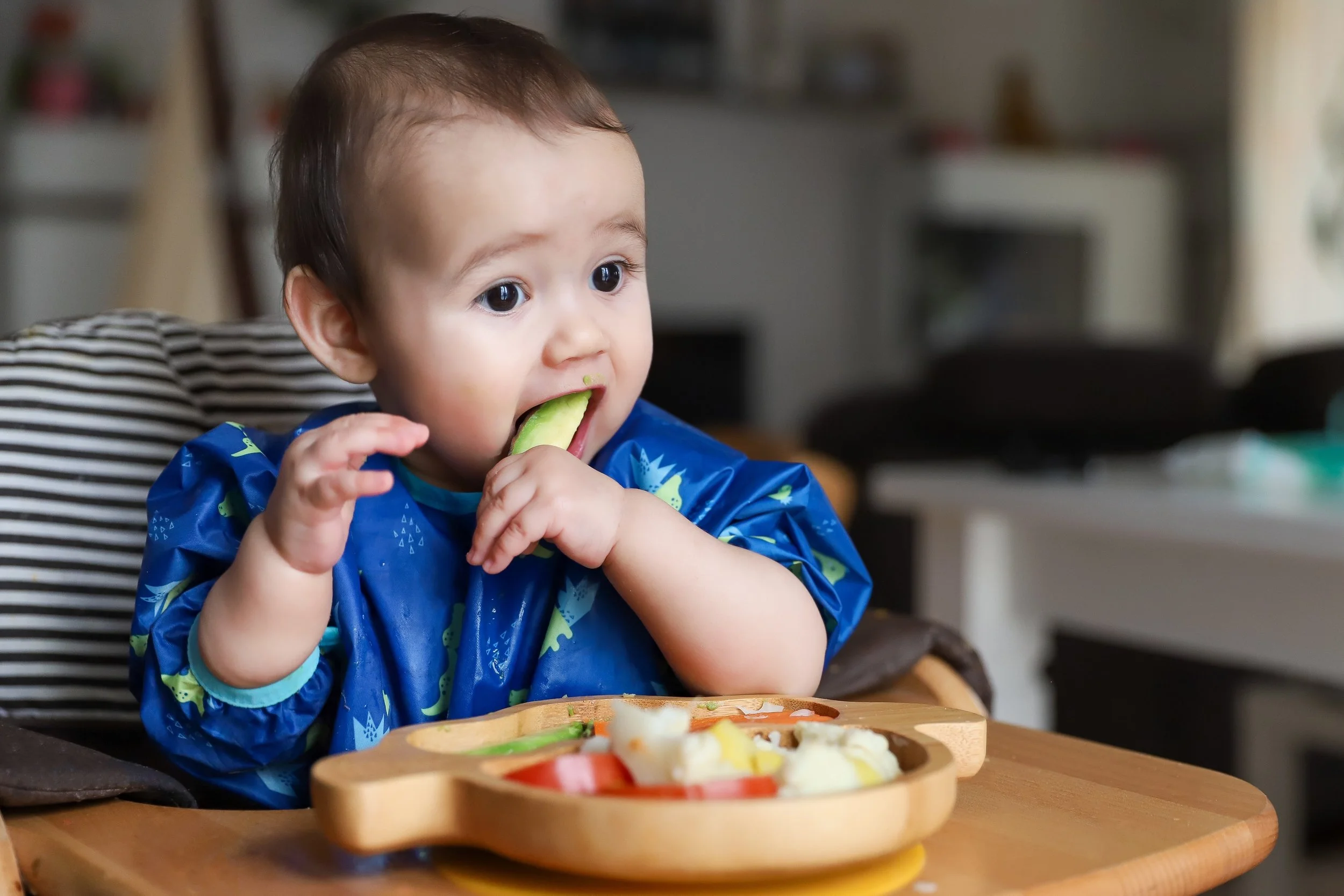 asian baby with dark hair, eating a cucumber with their left hand with a plate of fresh food in front of him and a look of intrigue on their face.