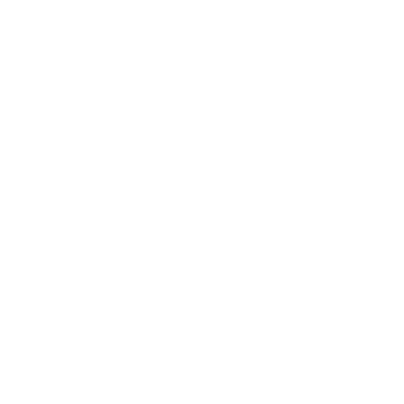 Be Well Baby PDX