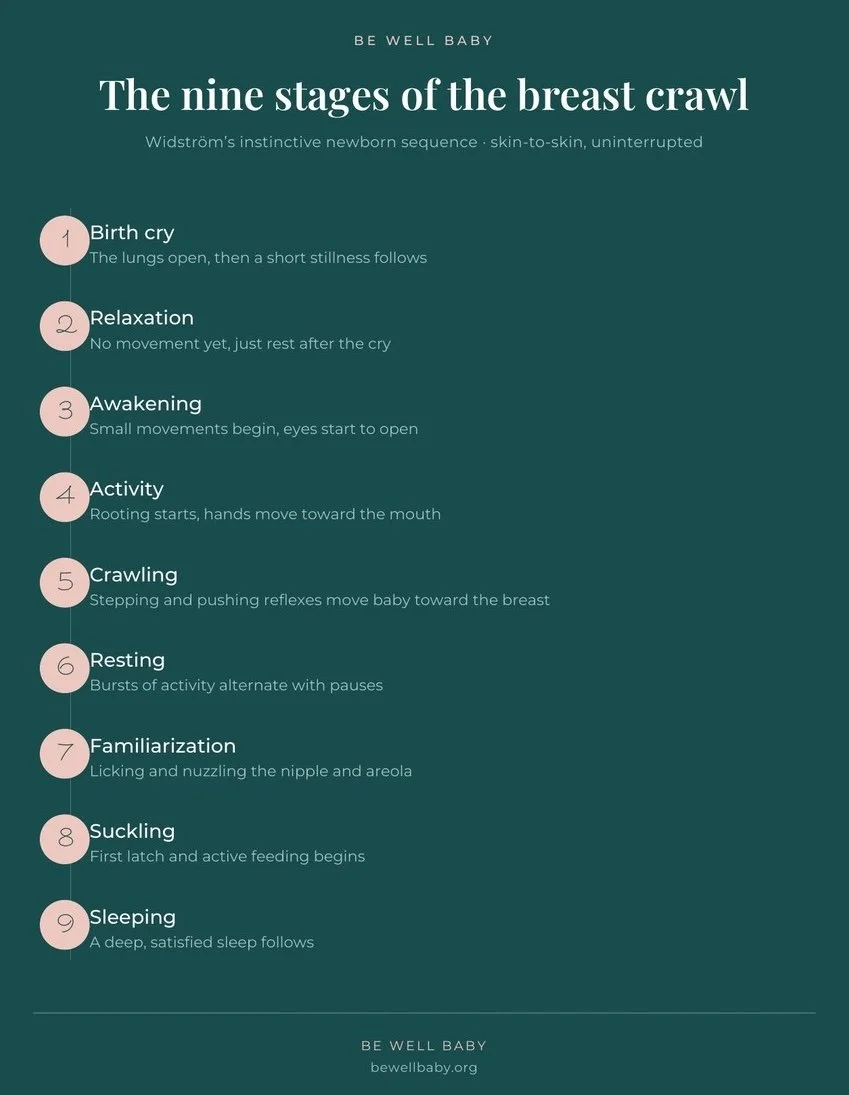 All the stages of the breast crawl from 1-9
