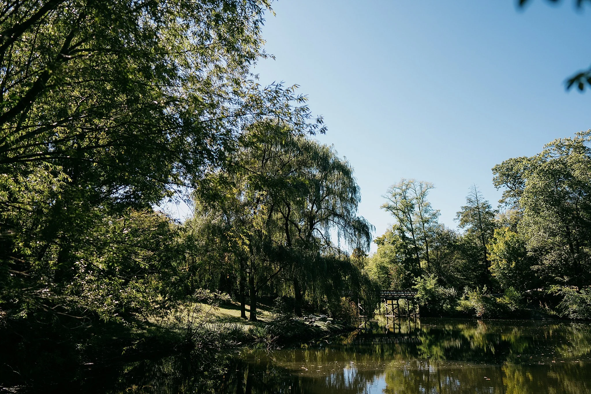 summer buttermilk falls wedding-0029.jpg