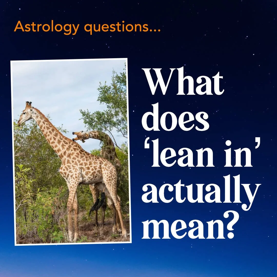 What does ‘lean in’ actually mean?