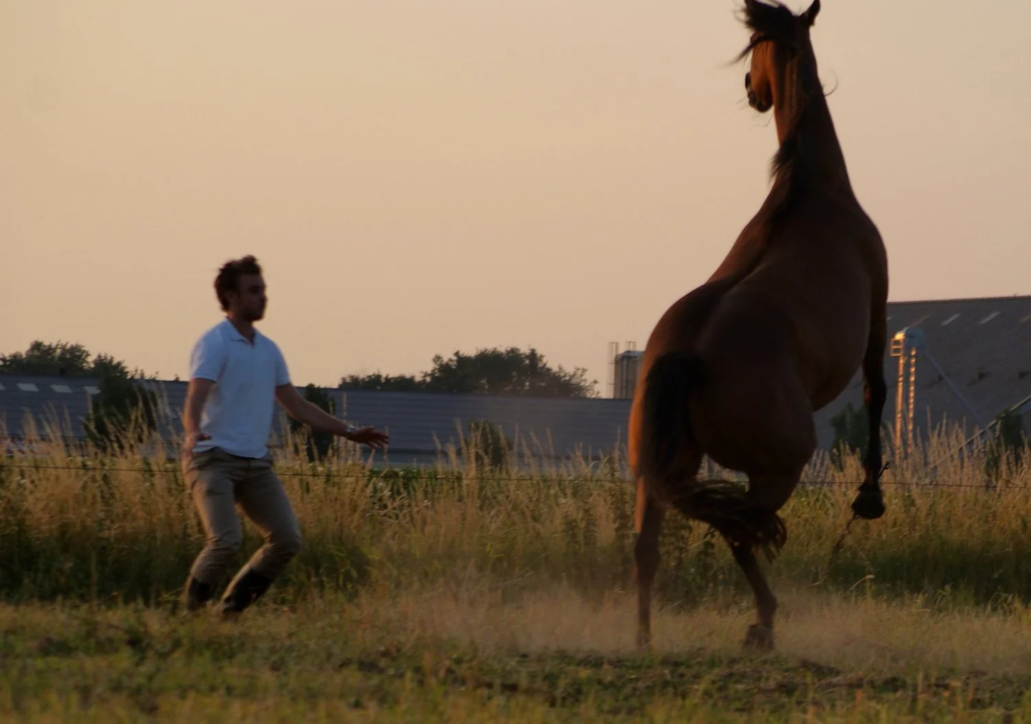 Faye Belle (by EDEN) (3).jpg