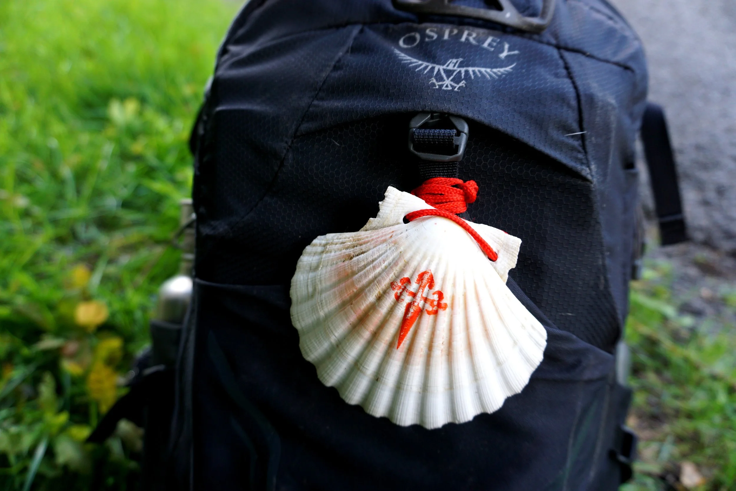 Jason Alexander Wauters & Aquila (Finis Terrae door EDEN) - 2021 (43).JPG