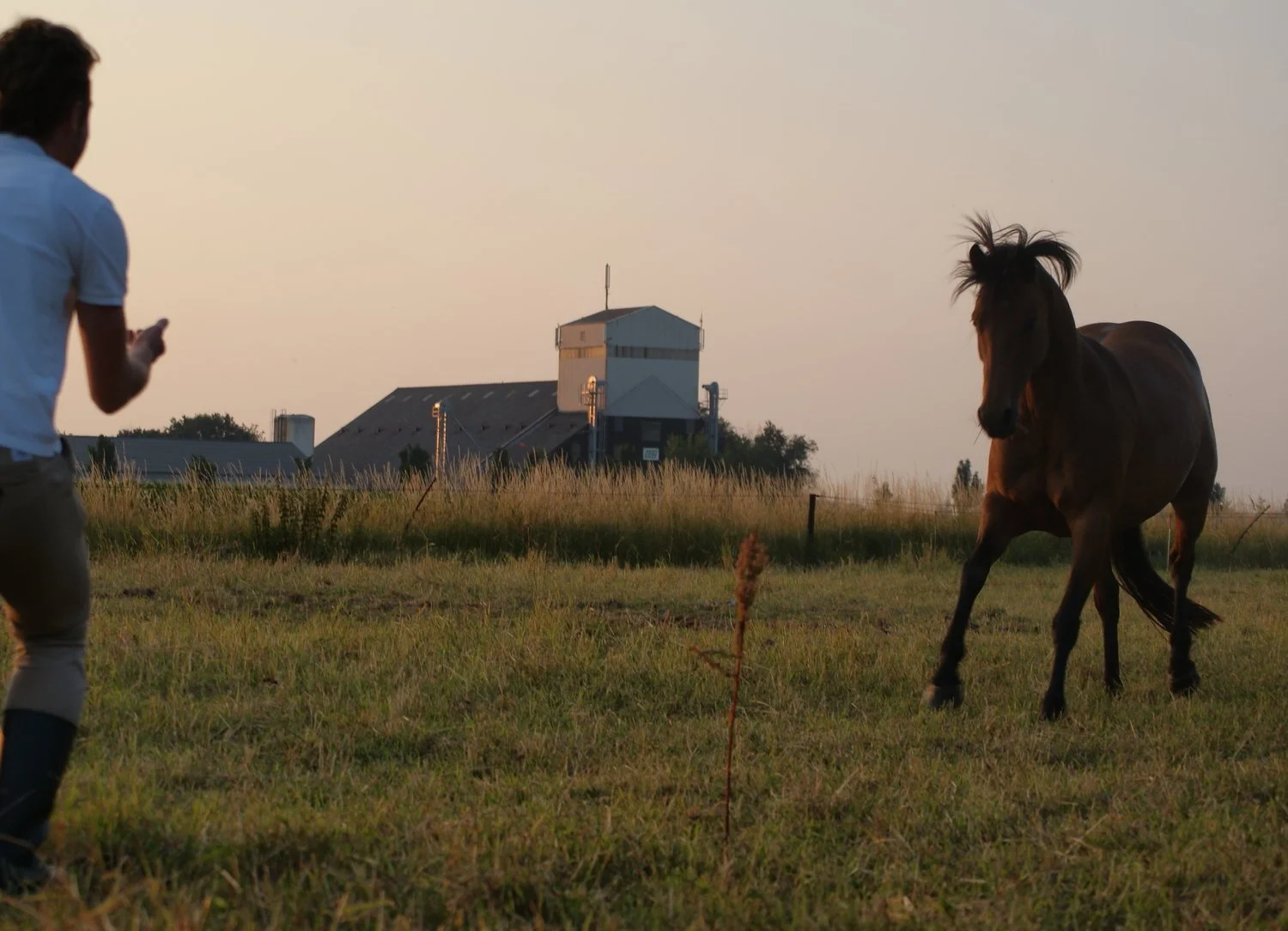 Faye Belle (by EDEN) (4).jpg