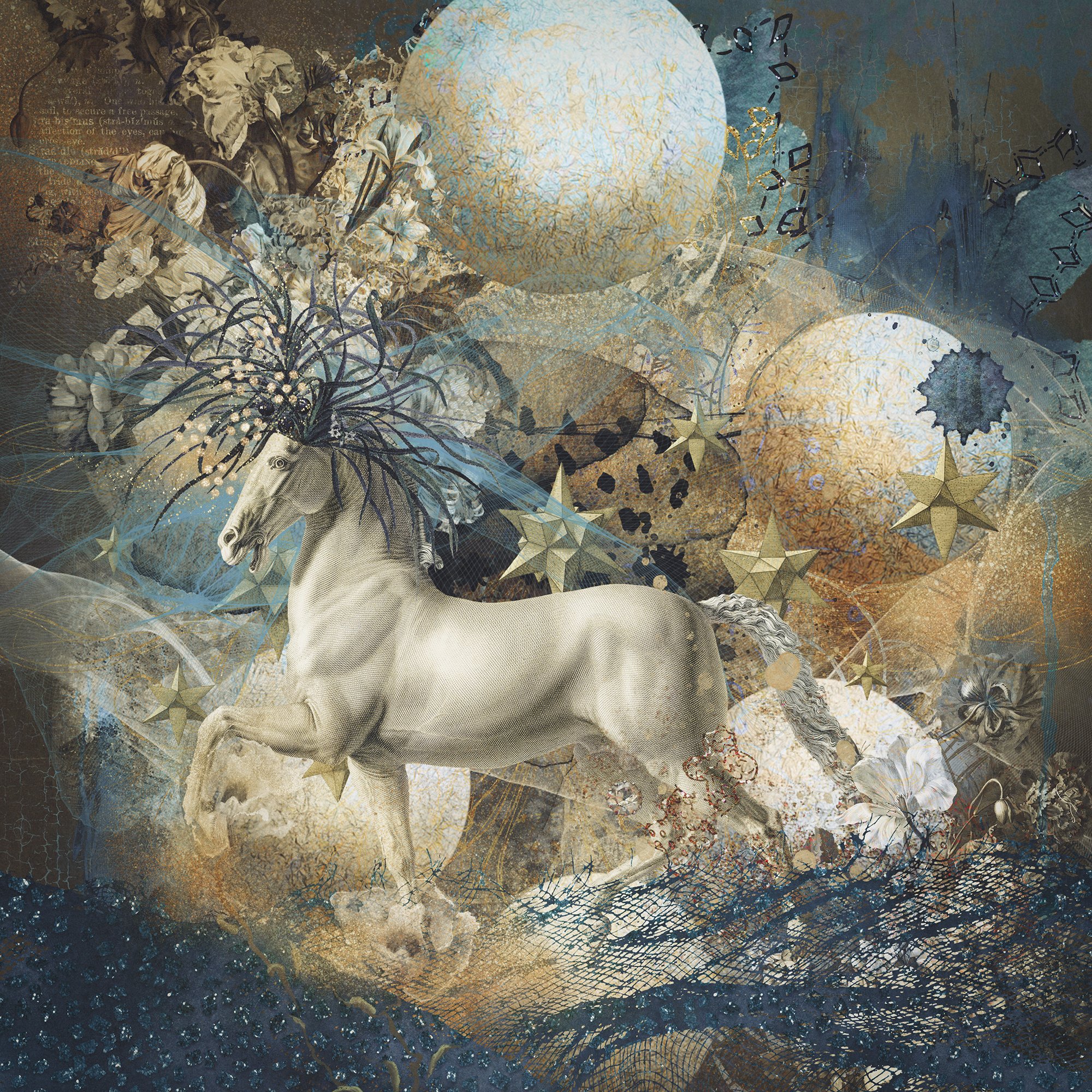 Horse with no name— Collector Series 1/1