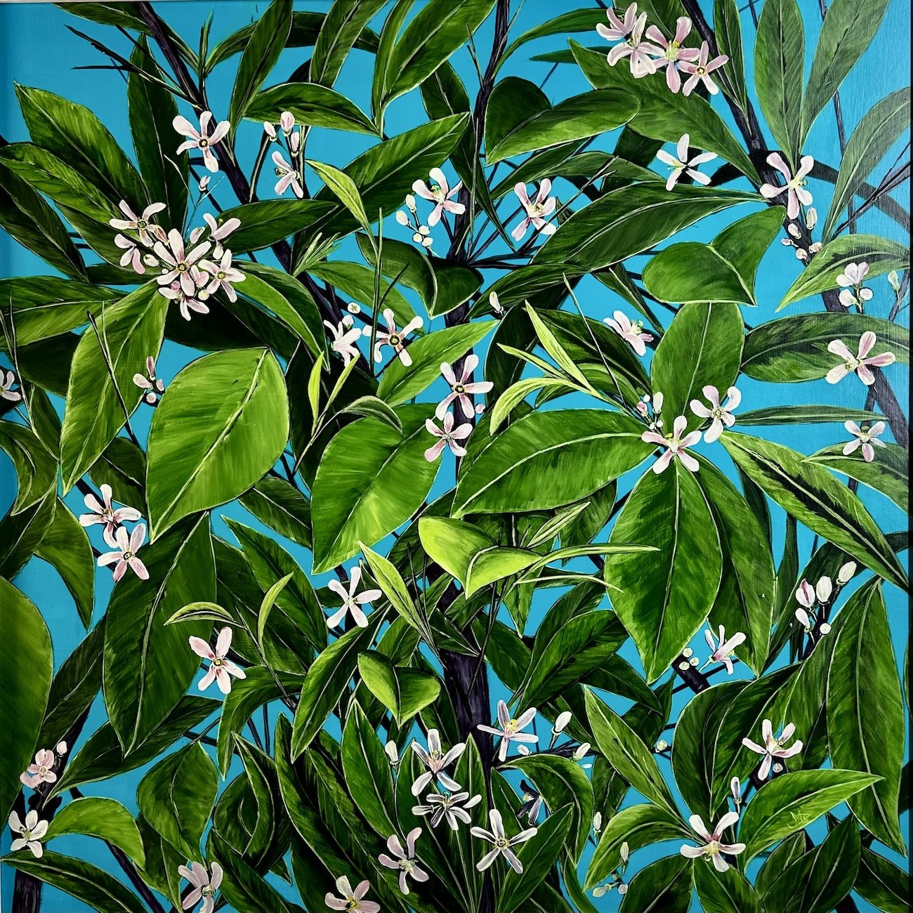 Orange blossom