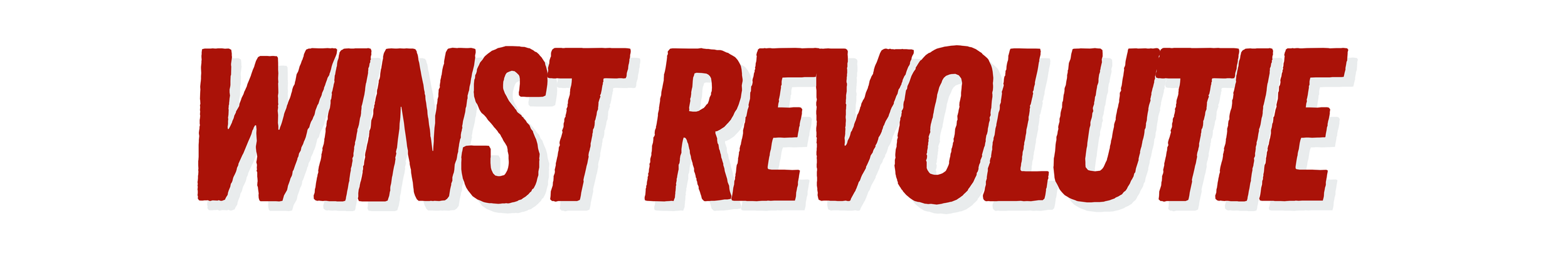 De Winst Revolutie van Ilse Dieltjens.