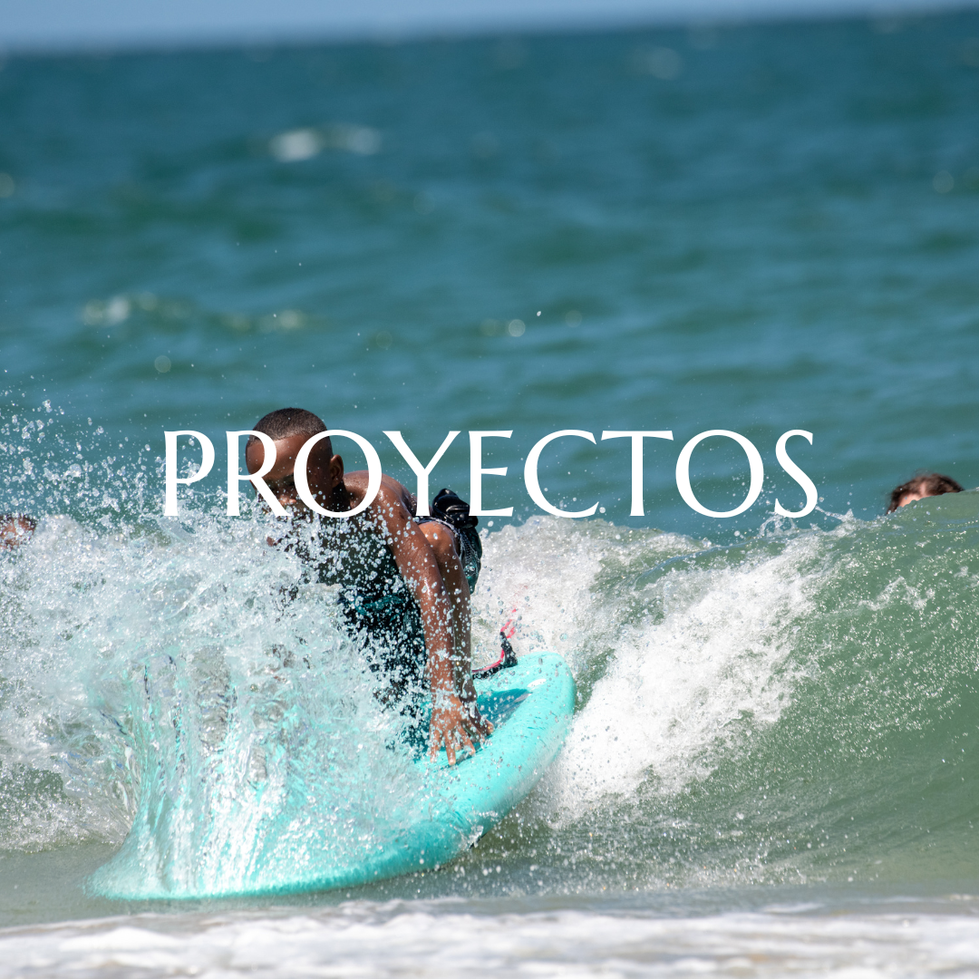 PROYECTOS.png
