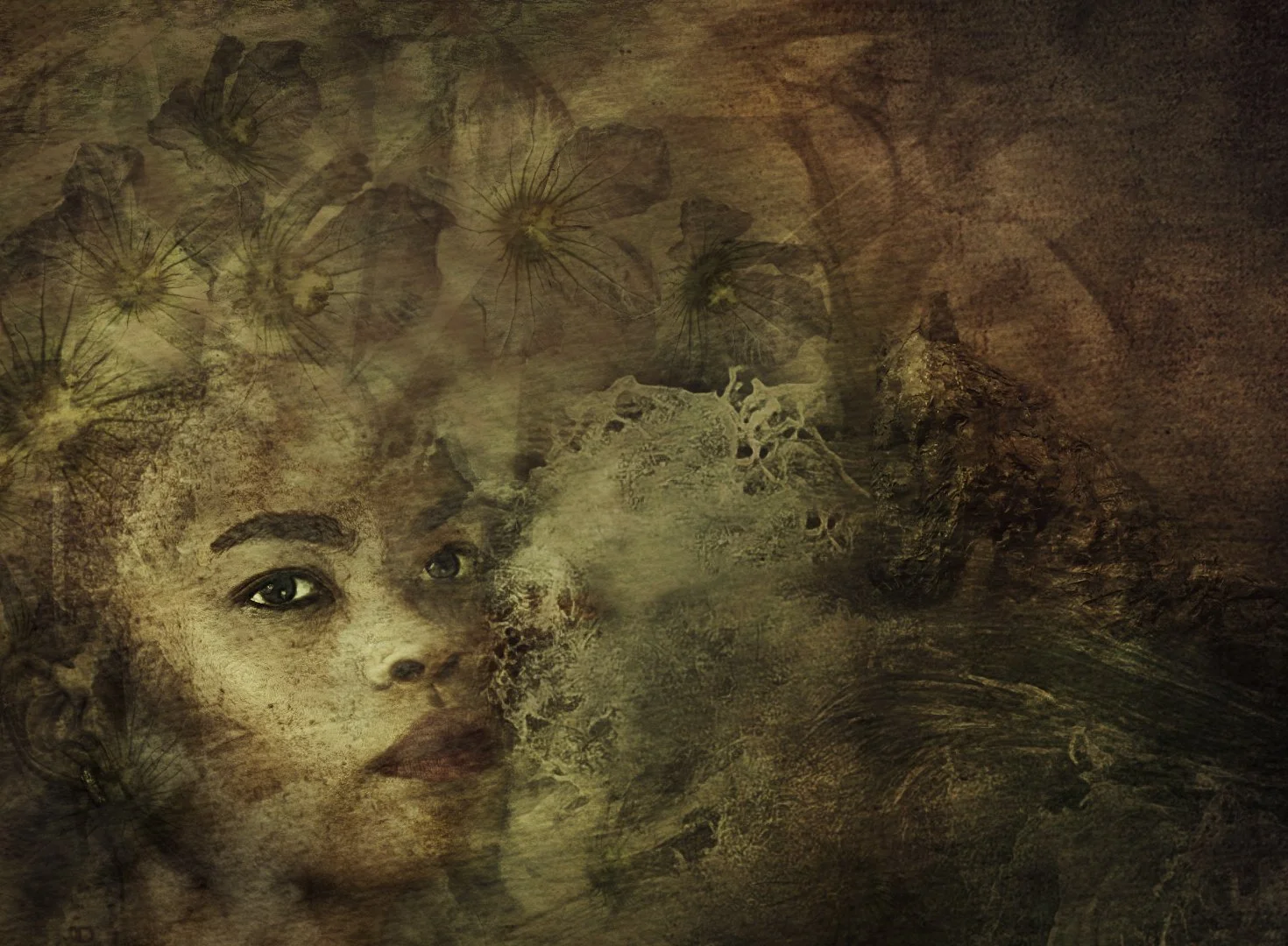 SS002-midsummer moonshine dream.jpg