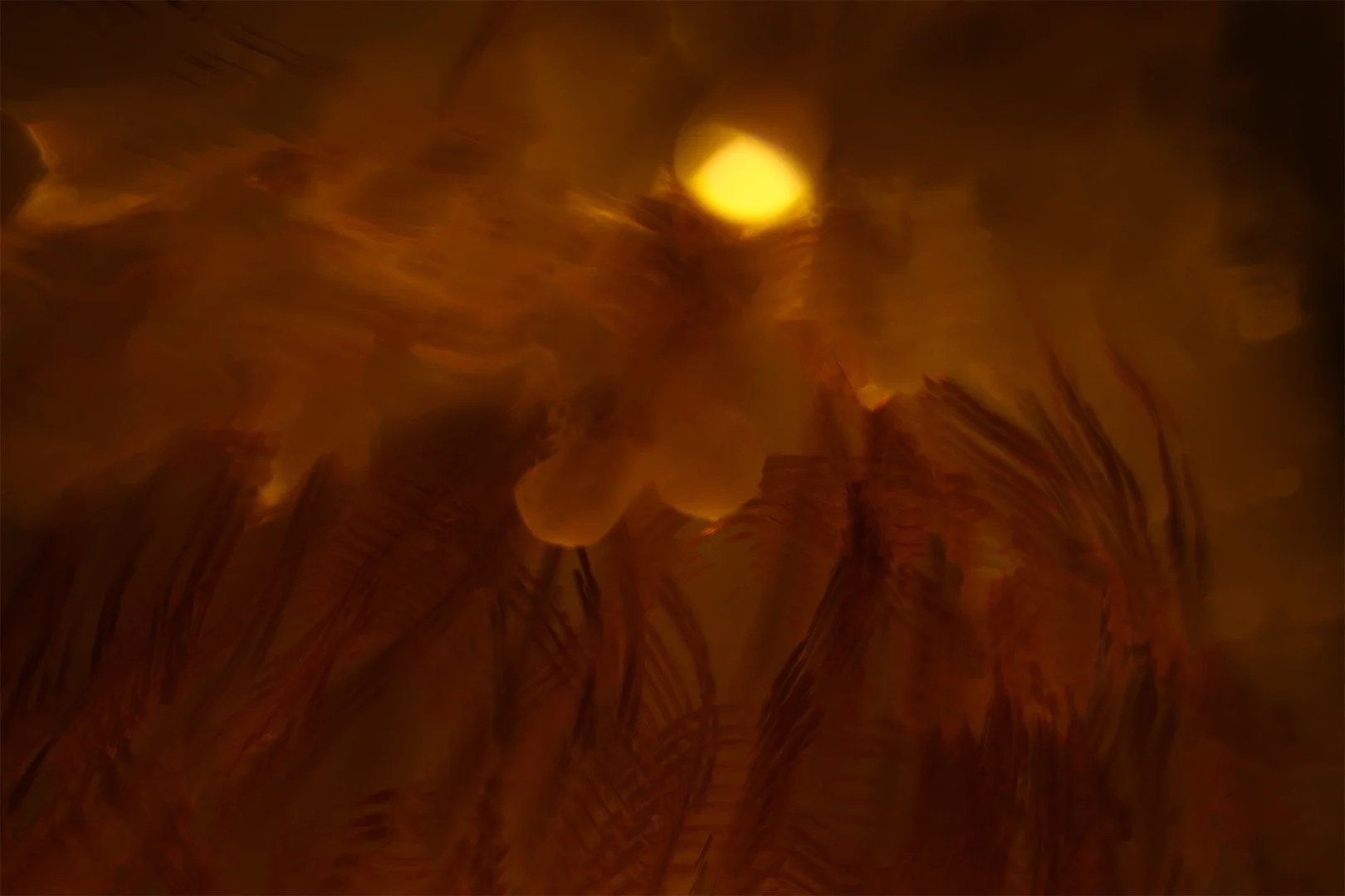 SS003-3 of 4 Sunrise.jpg