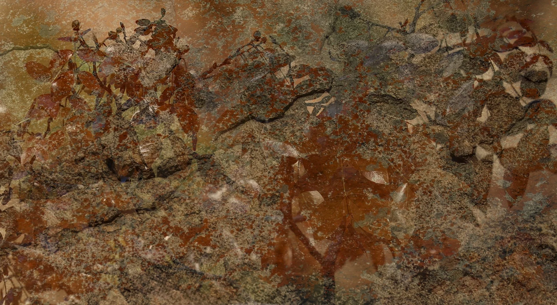 SS001-Textured leaves.jpg