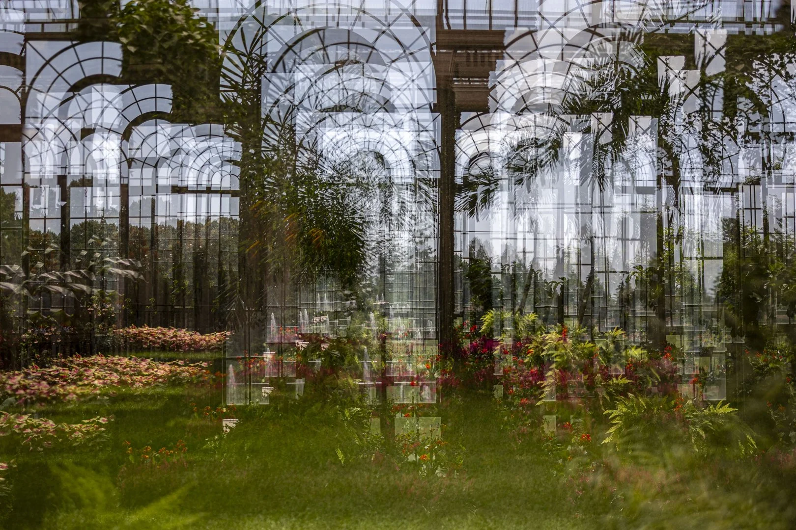 SS001-Hothouse.jpg