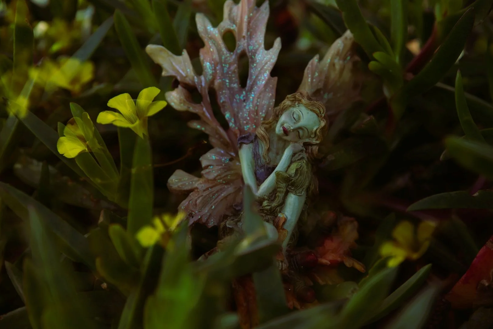 SS003-Once I found a fairy.jpg