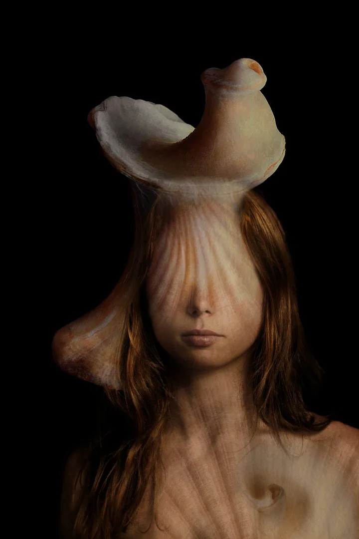 SS002-botticelli revisited.jpg