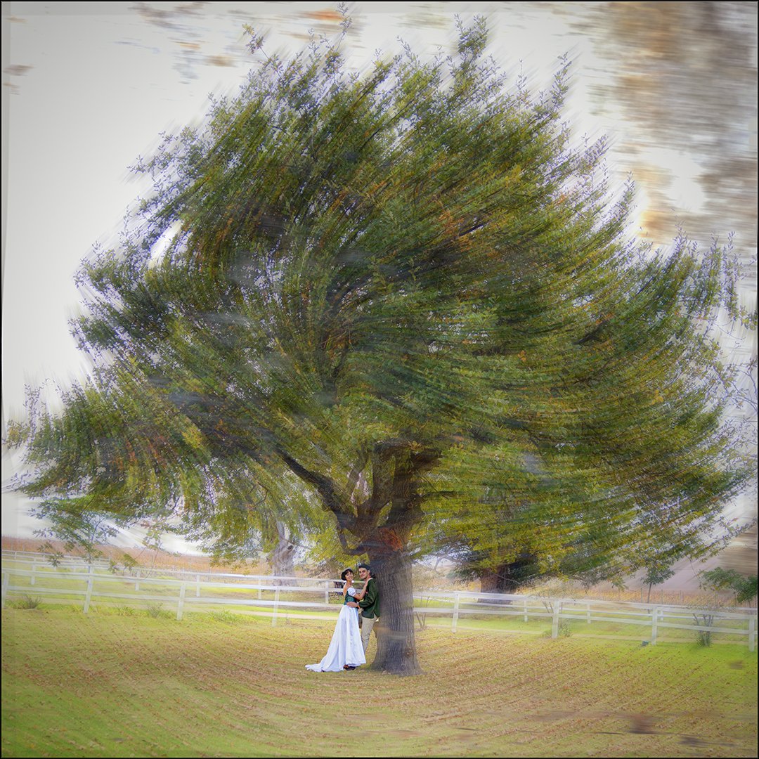 SS004-Windy Wedding GS.jpg