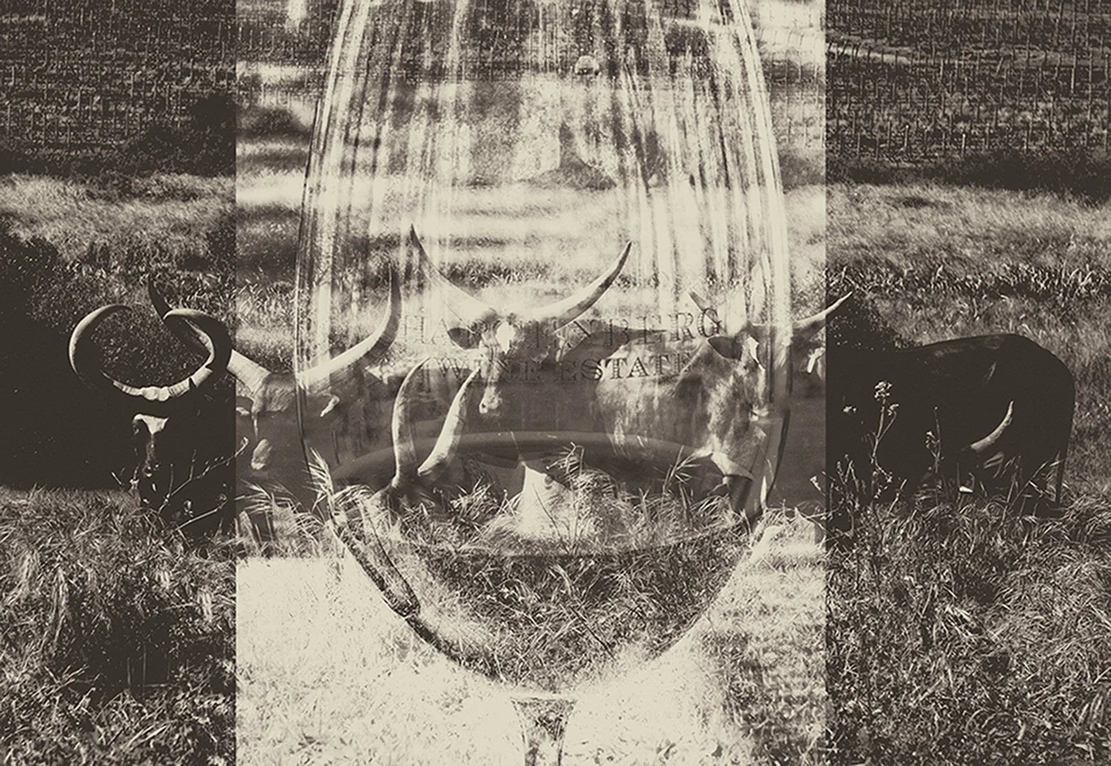 SS002-Grass to Glass_TVE.jpg