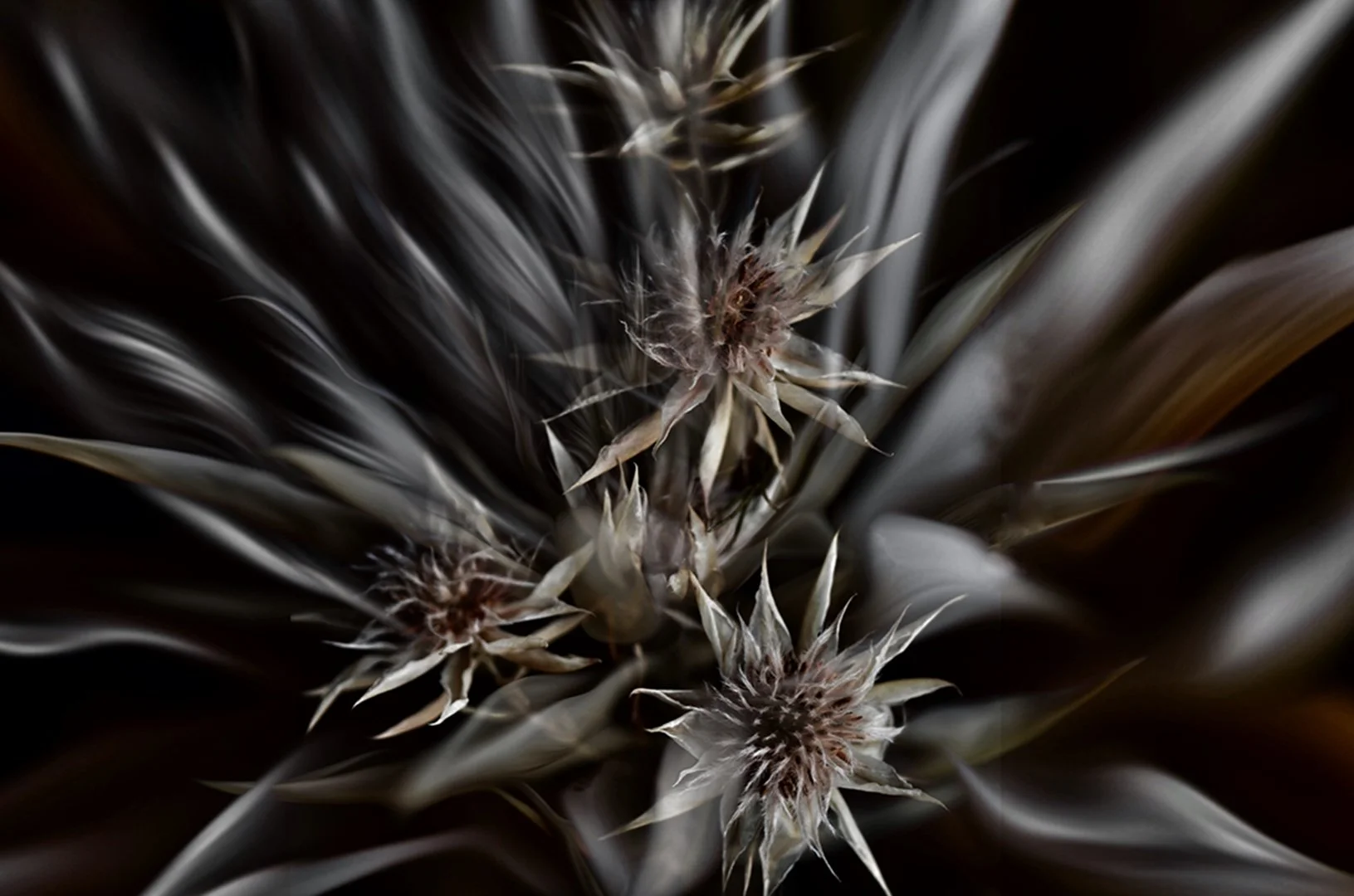 SS001-Dark Emergence_TVE.jpg