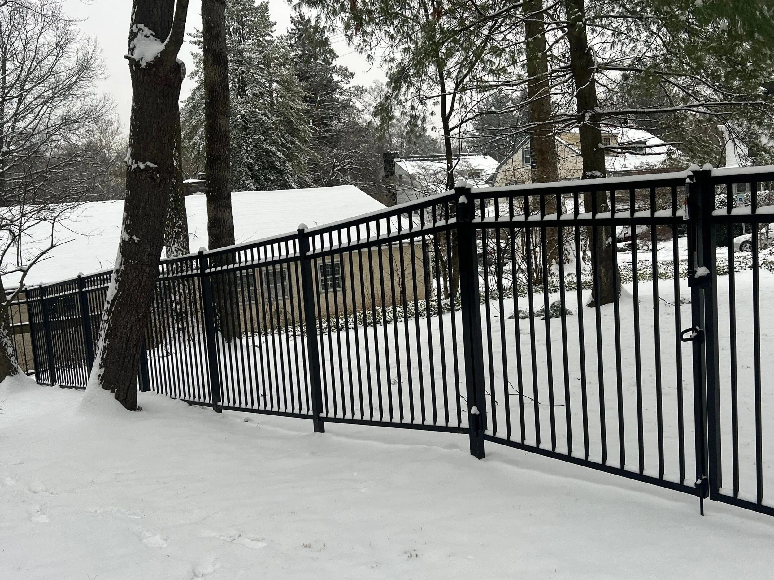 Snow-covered yard with a black metal fence, large trees, and residential houses in the background.