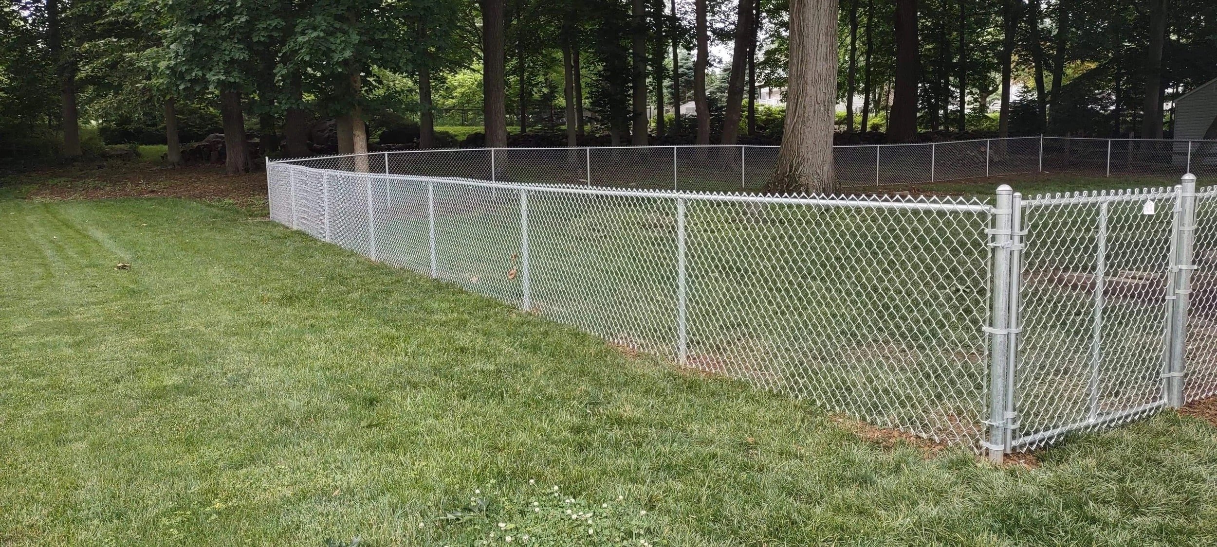 A white metal chain-link fence surrounds a grassy yard with a wooded area in the background.