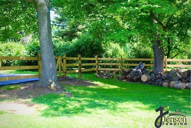 A backyard with a wooden fence, large trees, grass, and a pile of chopped firewood near the trees.