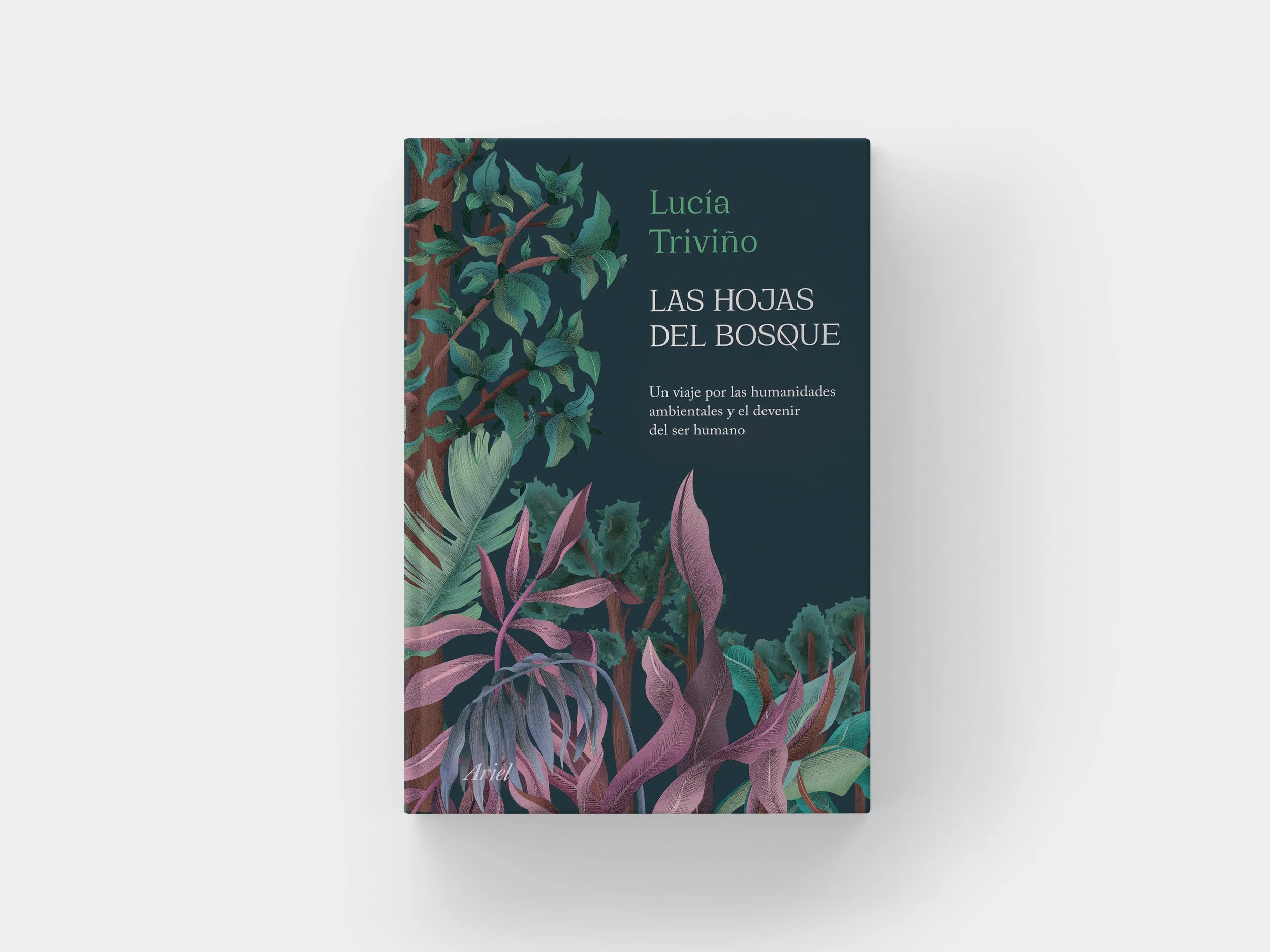 Mockup libro frontal + fondo blanco.jpg