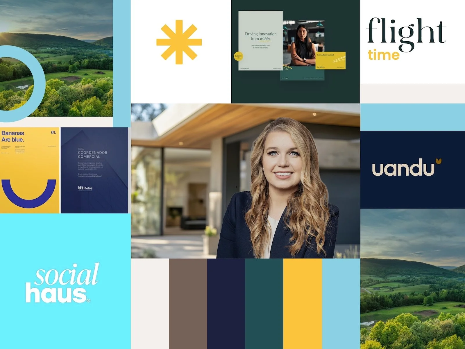 A moodblard , including a landscape with rolling green hills, a businesswoman smiling outdoors, presentation slides with business and creative themes, and logos. Design by Hubble for Niche Team Consultants.
