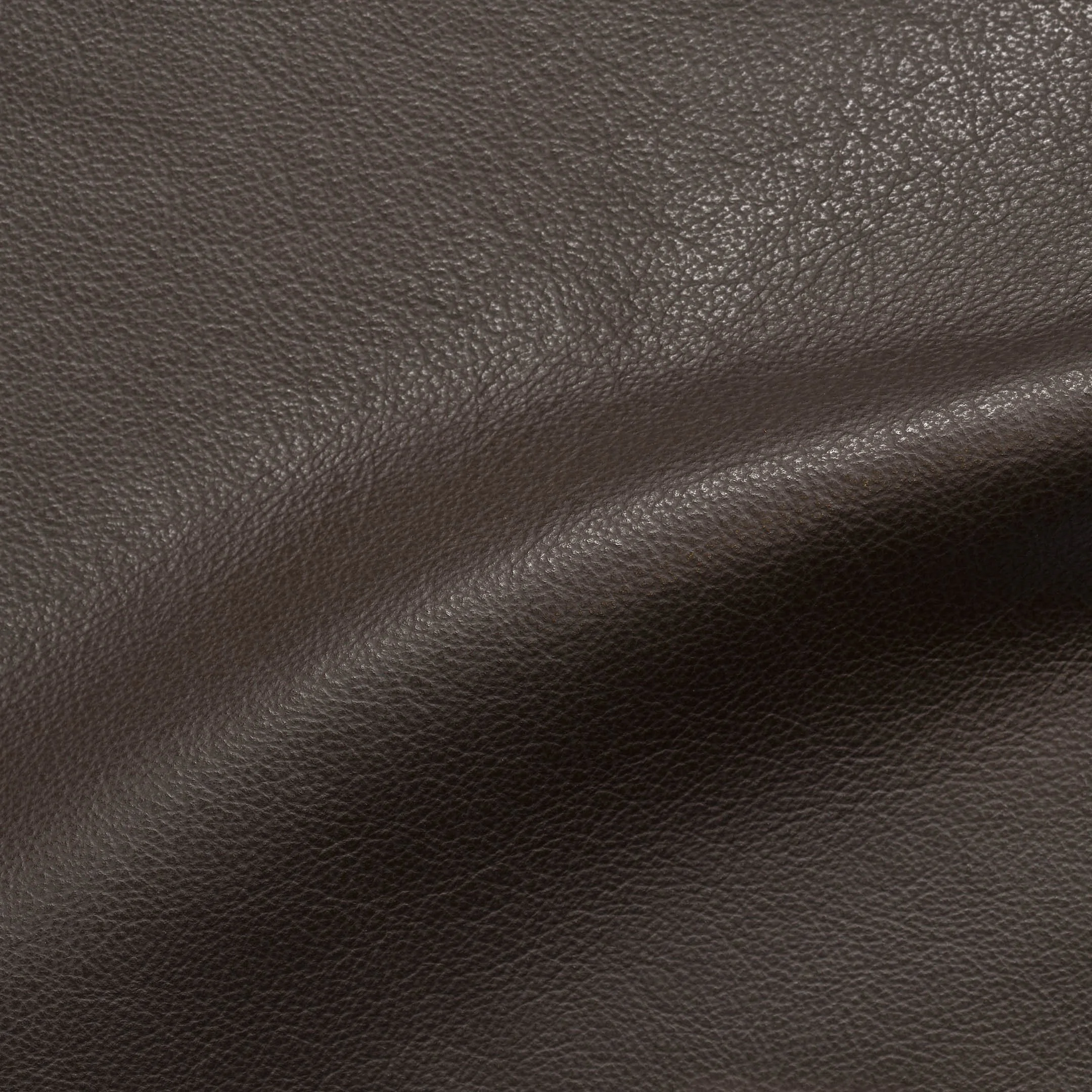 Sable