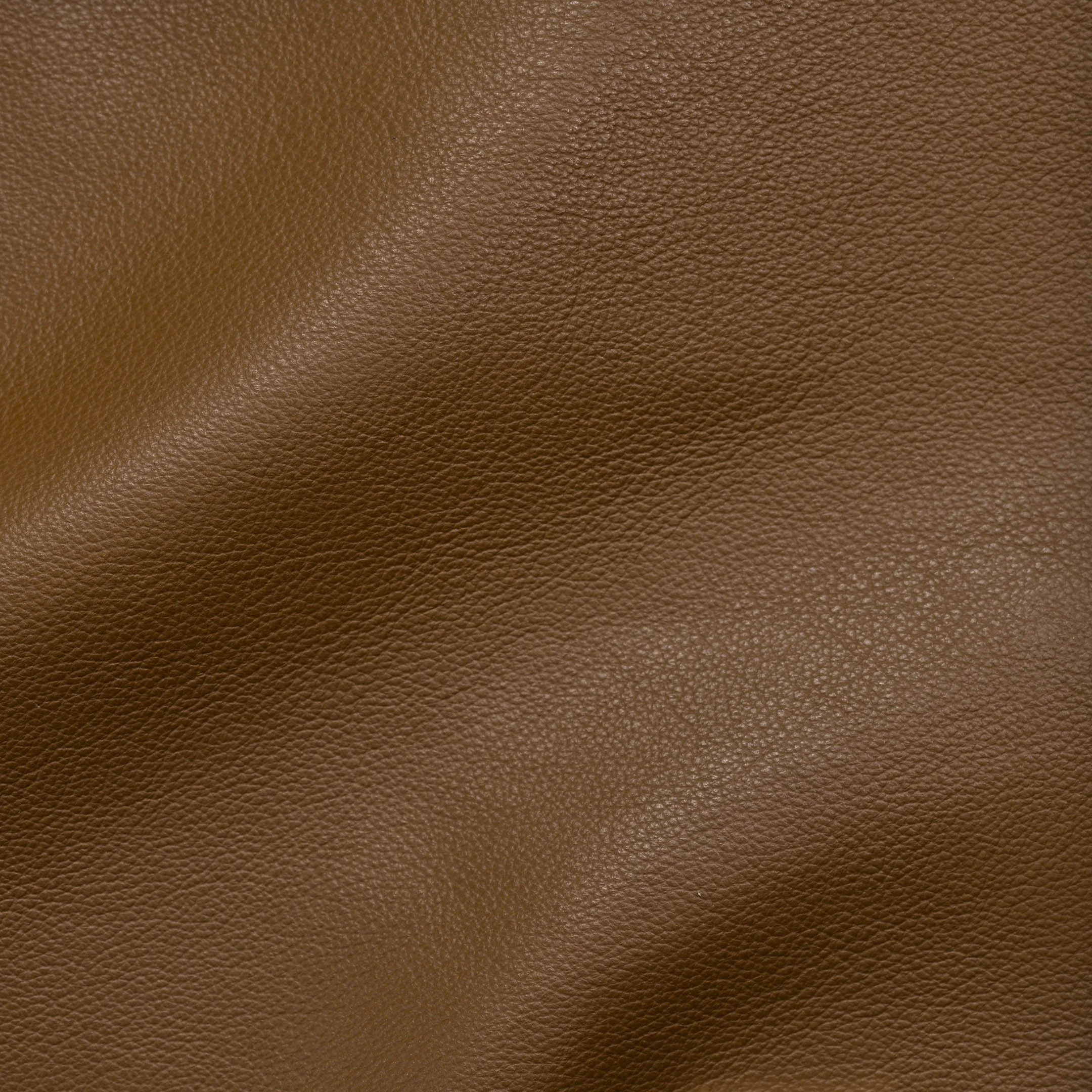 Praline