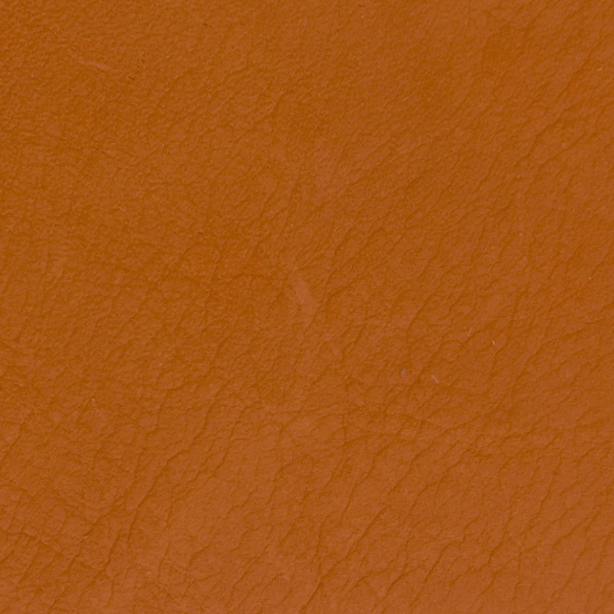 Burnt Sienna