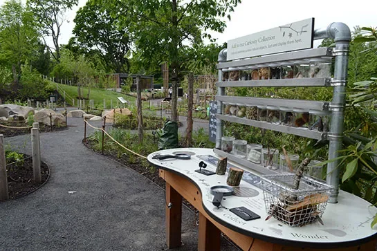 dam-images-daily-2015-06-discovery-garden-bbg-brooklyn-botanic-childrens-discovery-garden-02.webp